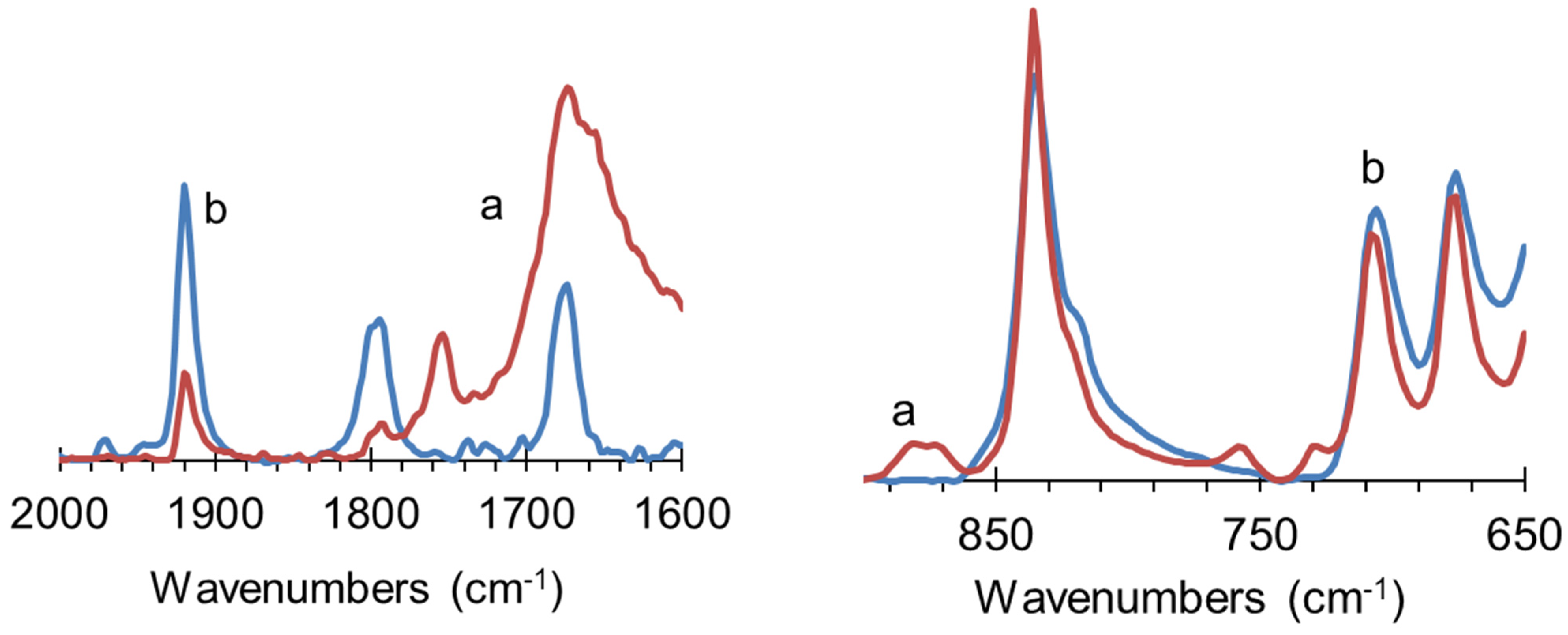 Polymers 14 00900 g005