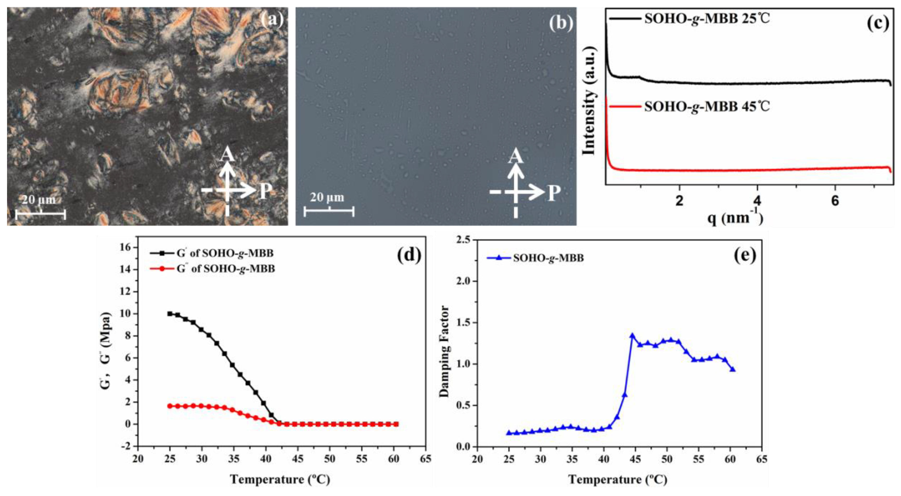 Polymers 14 00903 g003
