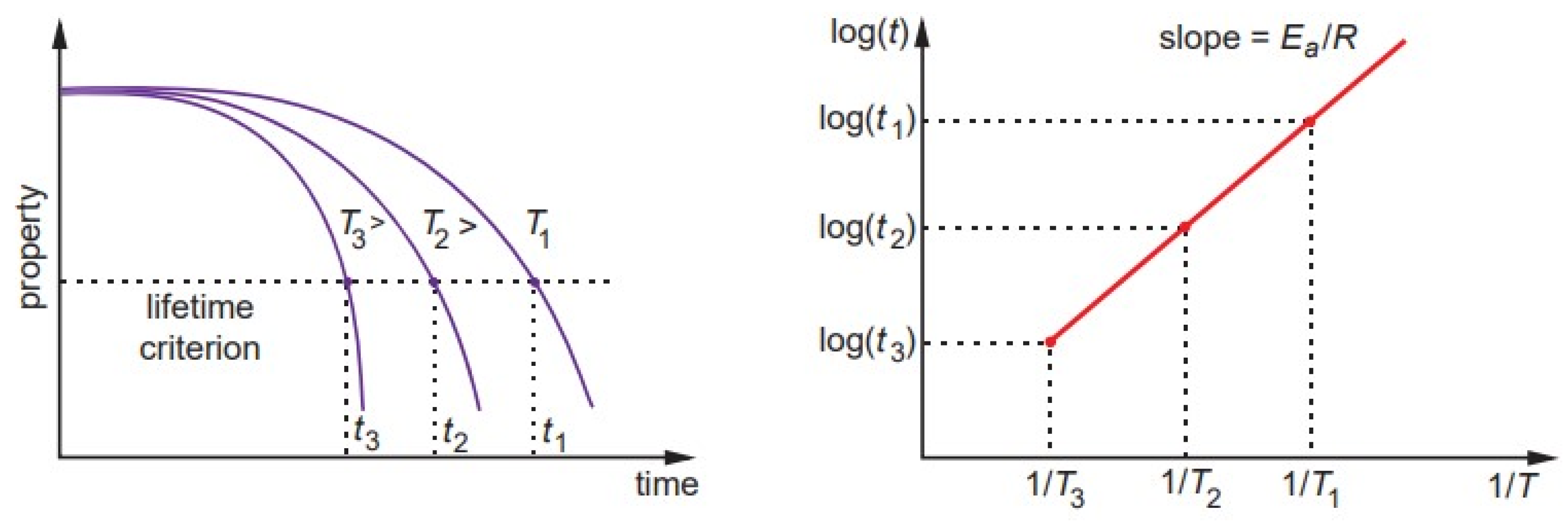 Polymers 14 00907 g002
