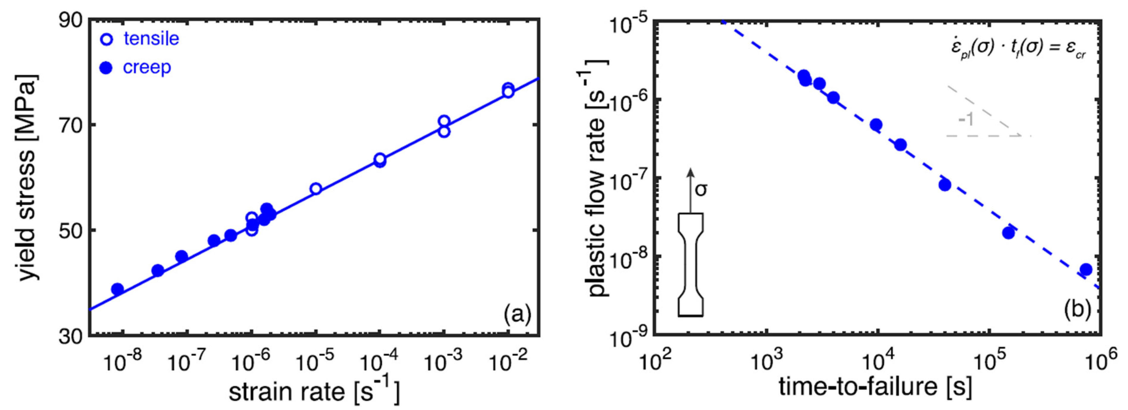 Polymers 14 00907 g009