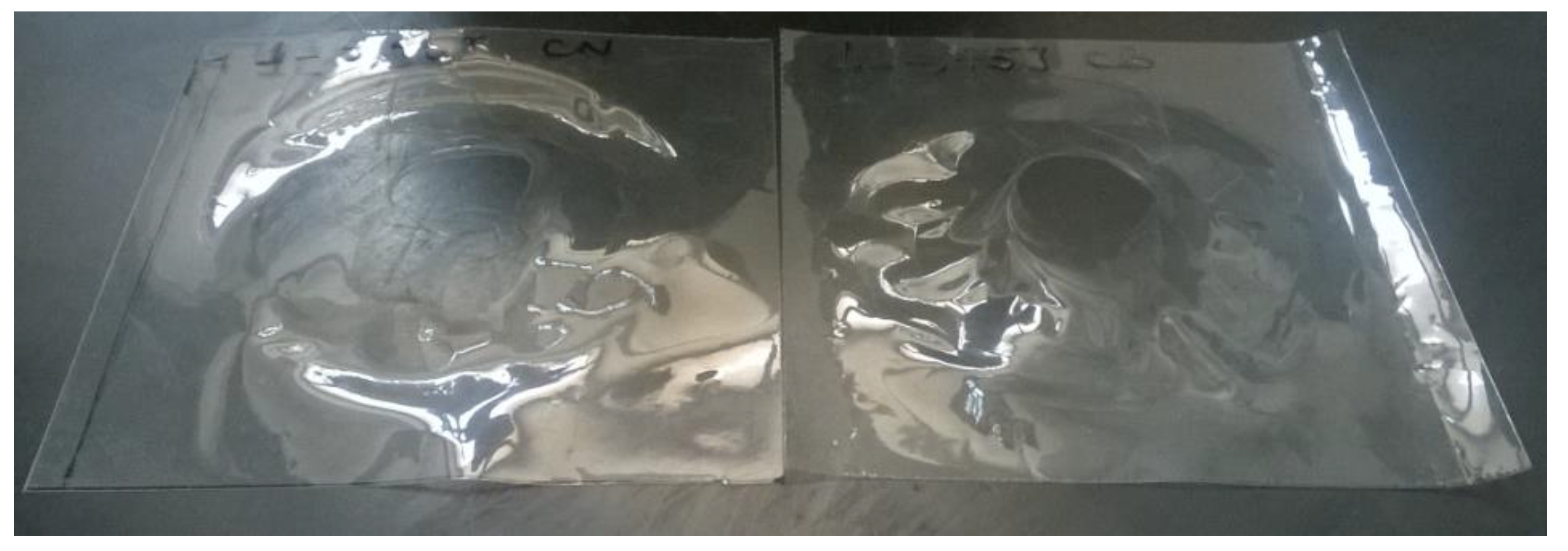 Polymers 14 00912 g008