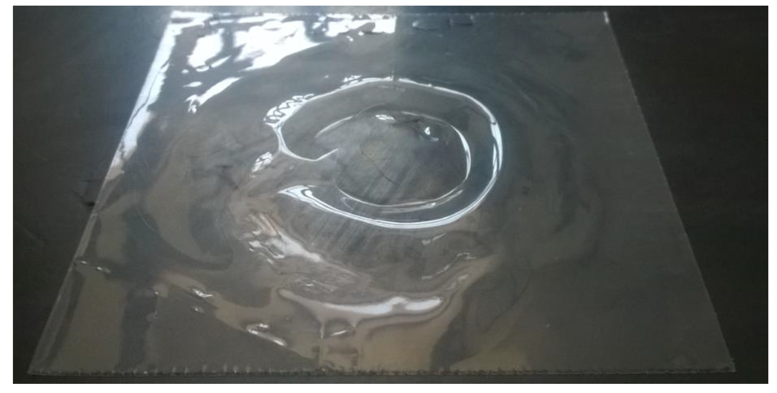 Polymers 14 00912 g010