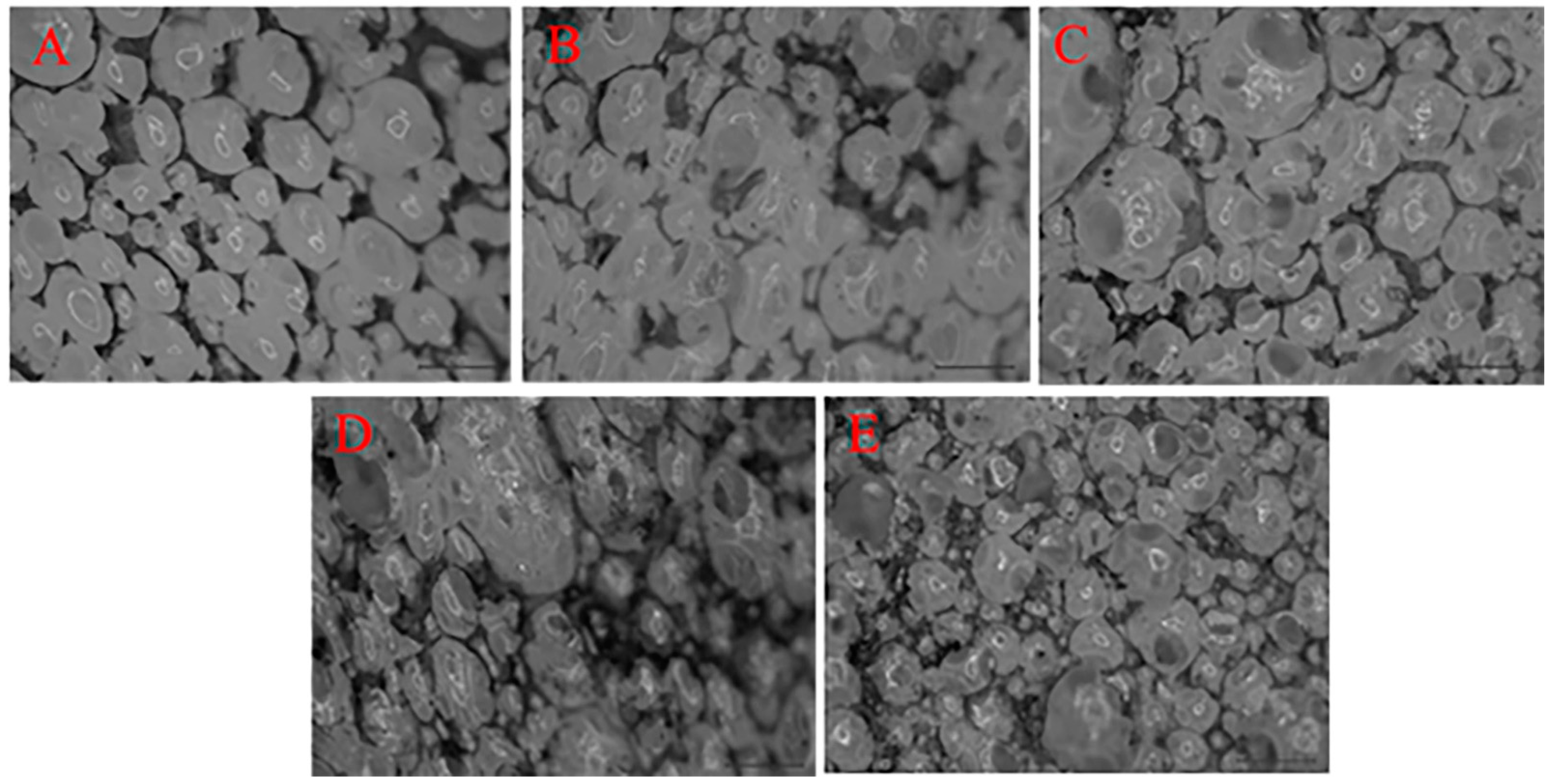 Polymers 14 00913 g004