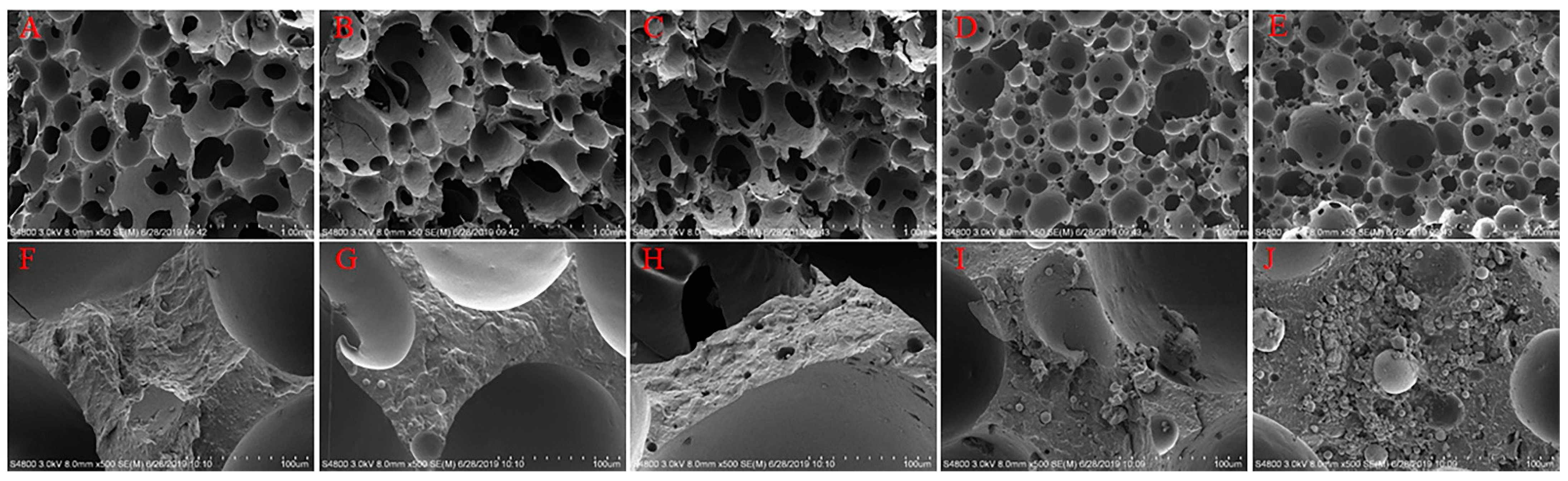Polymers 14 00913 g007