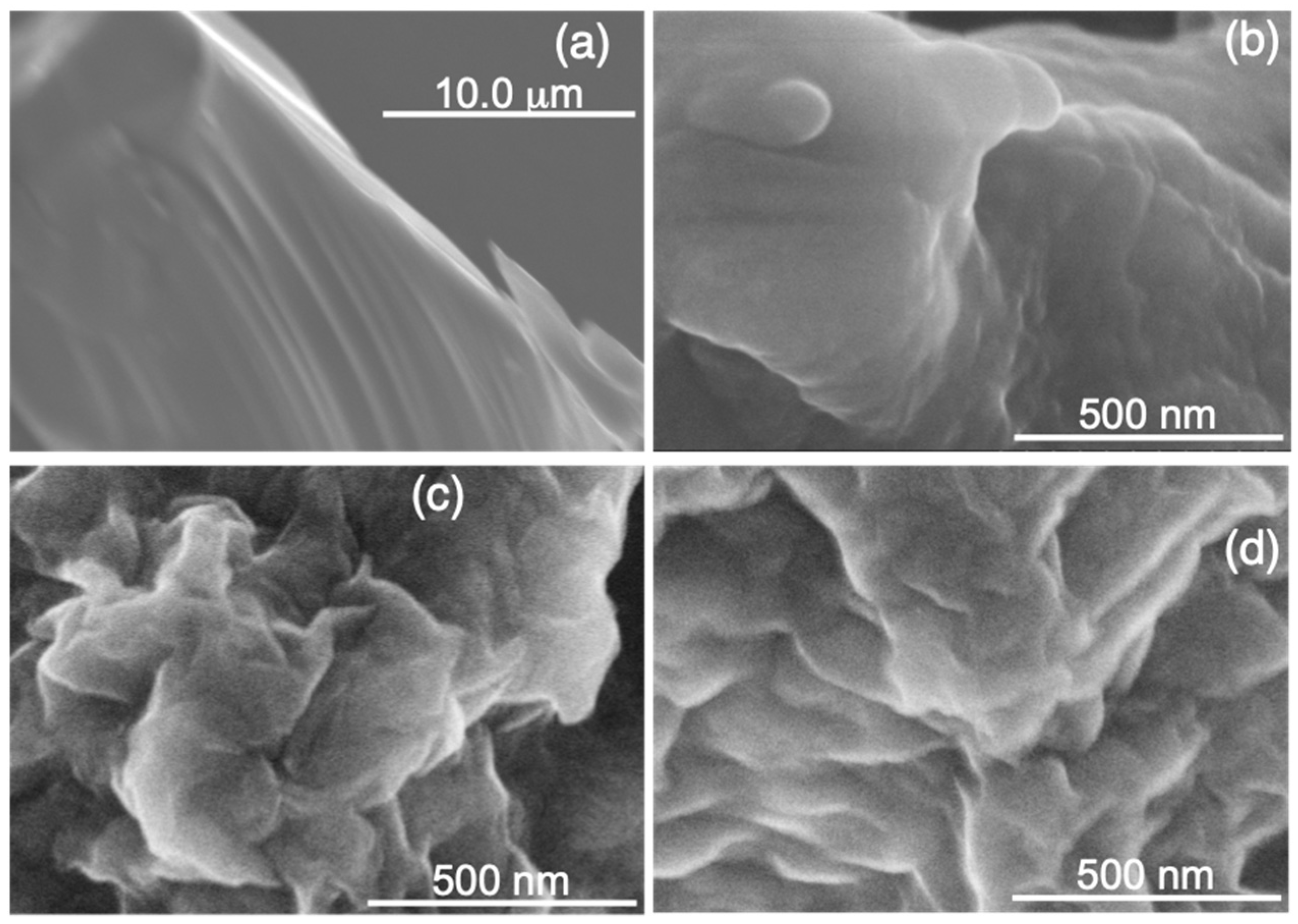 Polymers 14 00915 g001