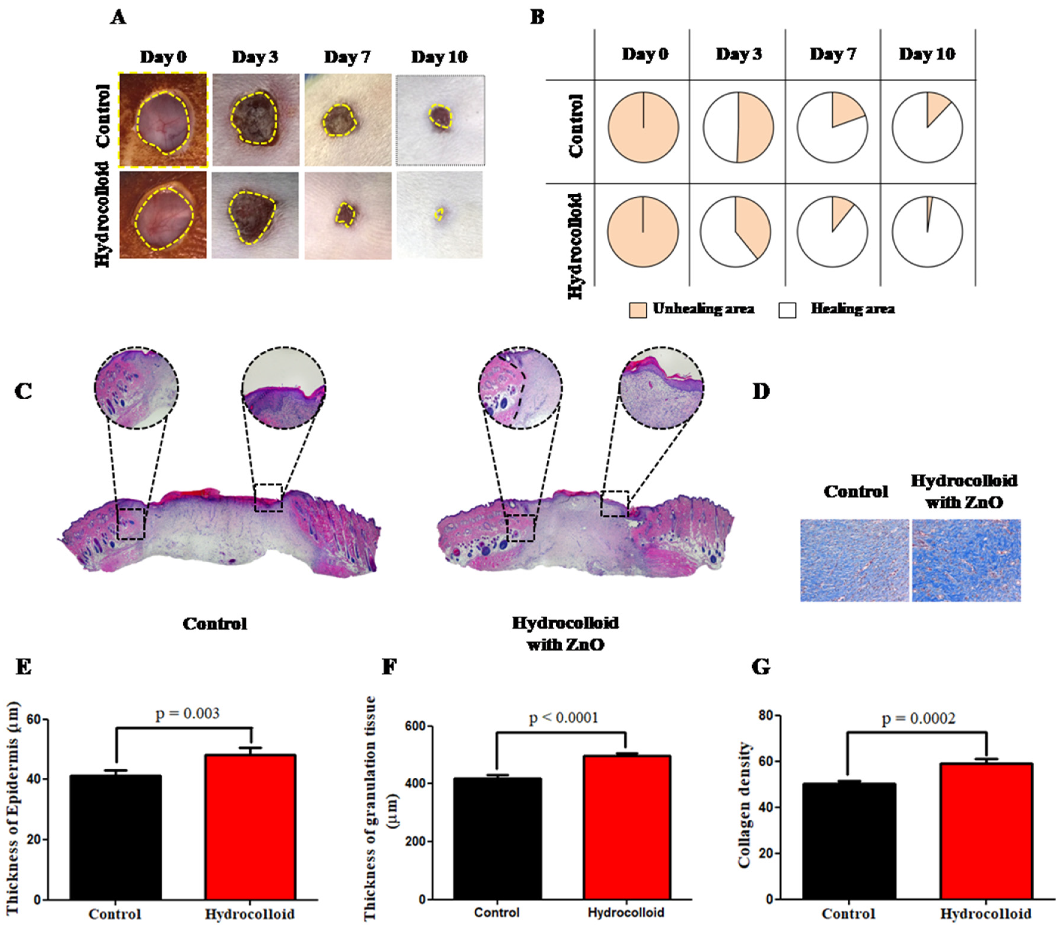 Polymers 14 00919 g001