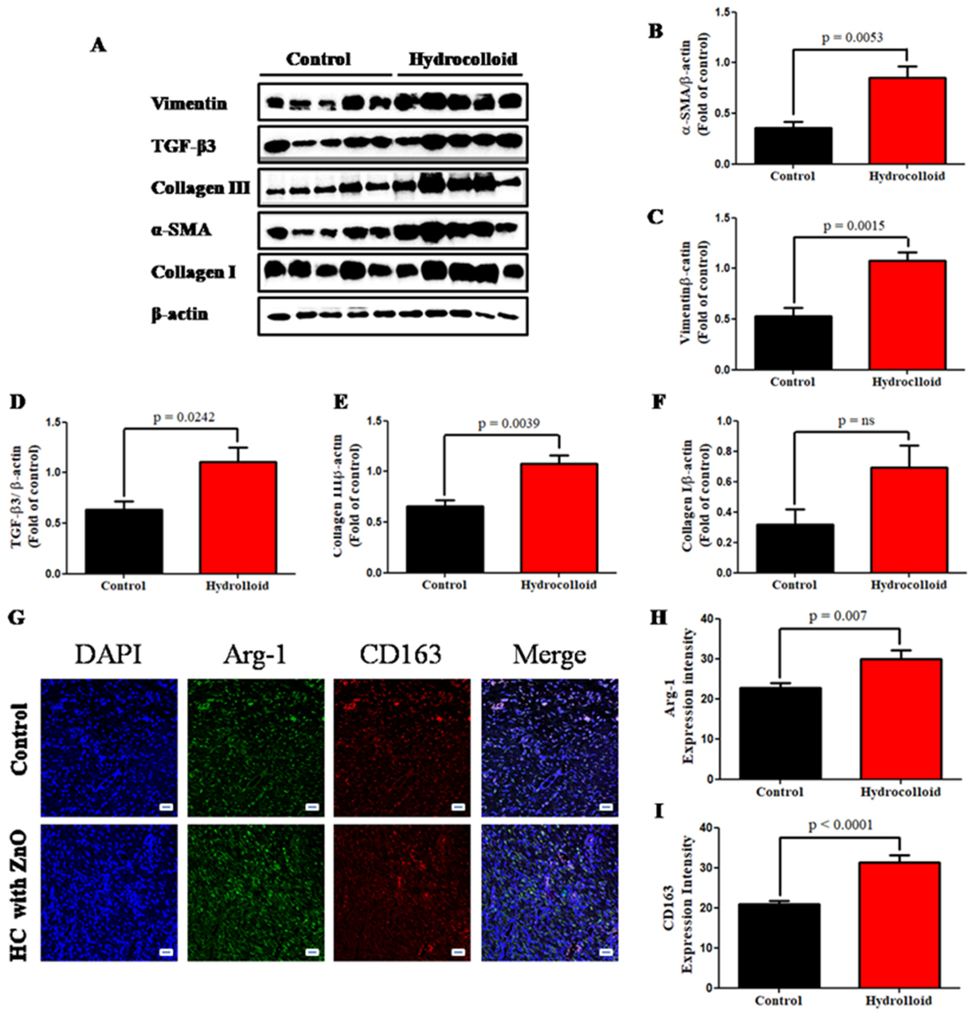 Polymers 14 00919 g005