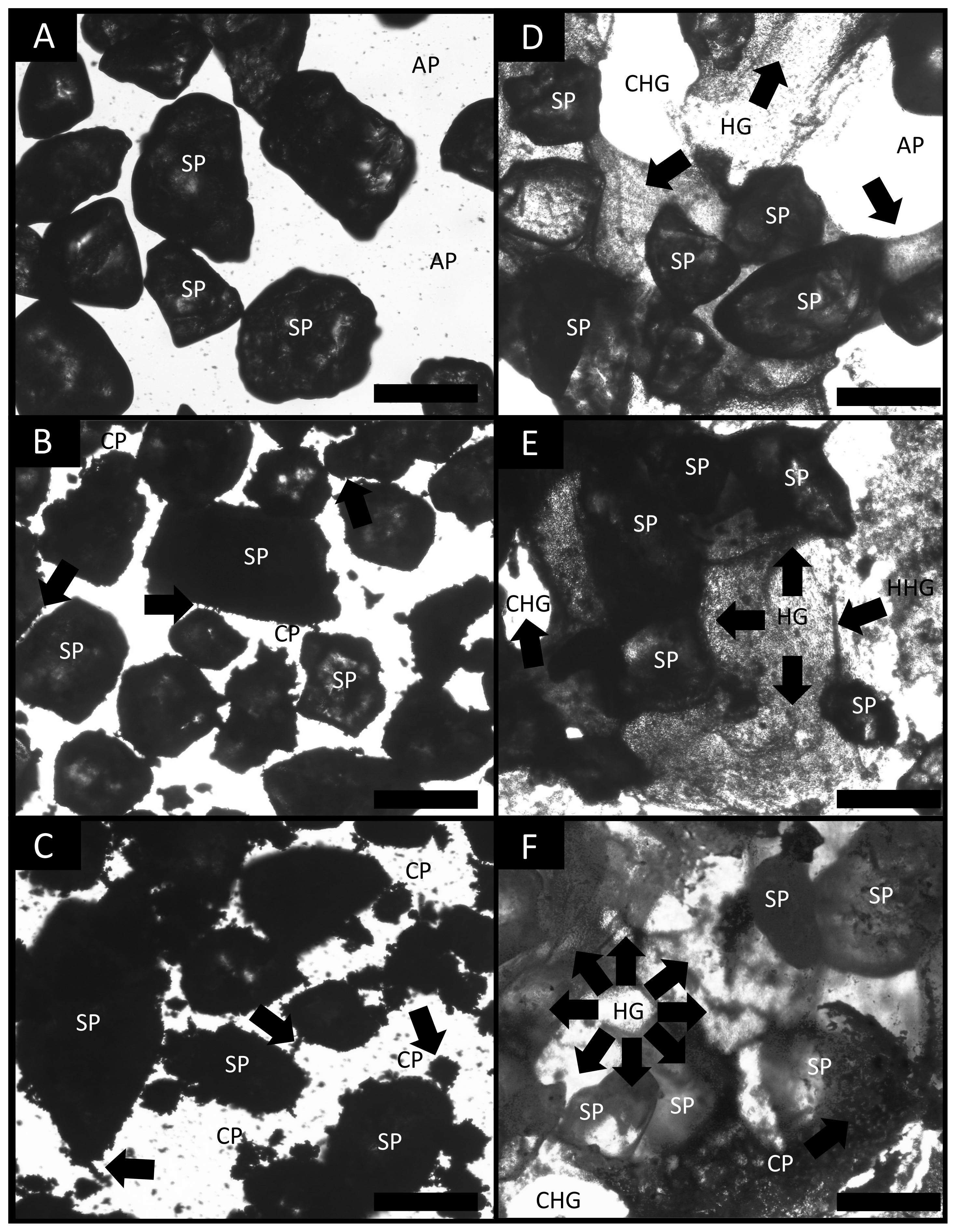 Polymers 14 00922 g006 Polymers 14 00922 g006