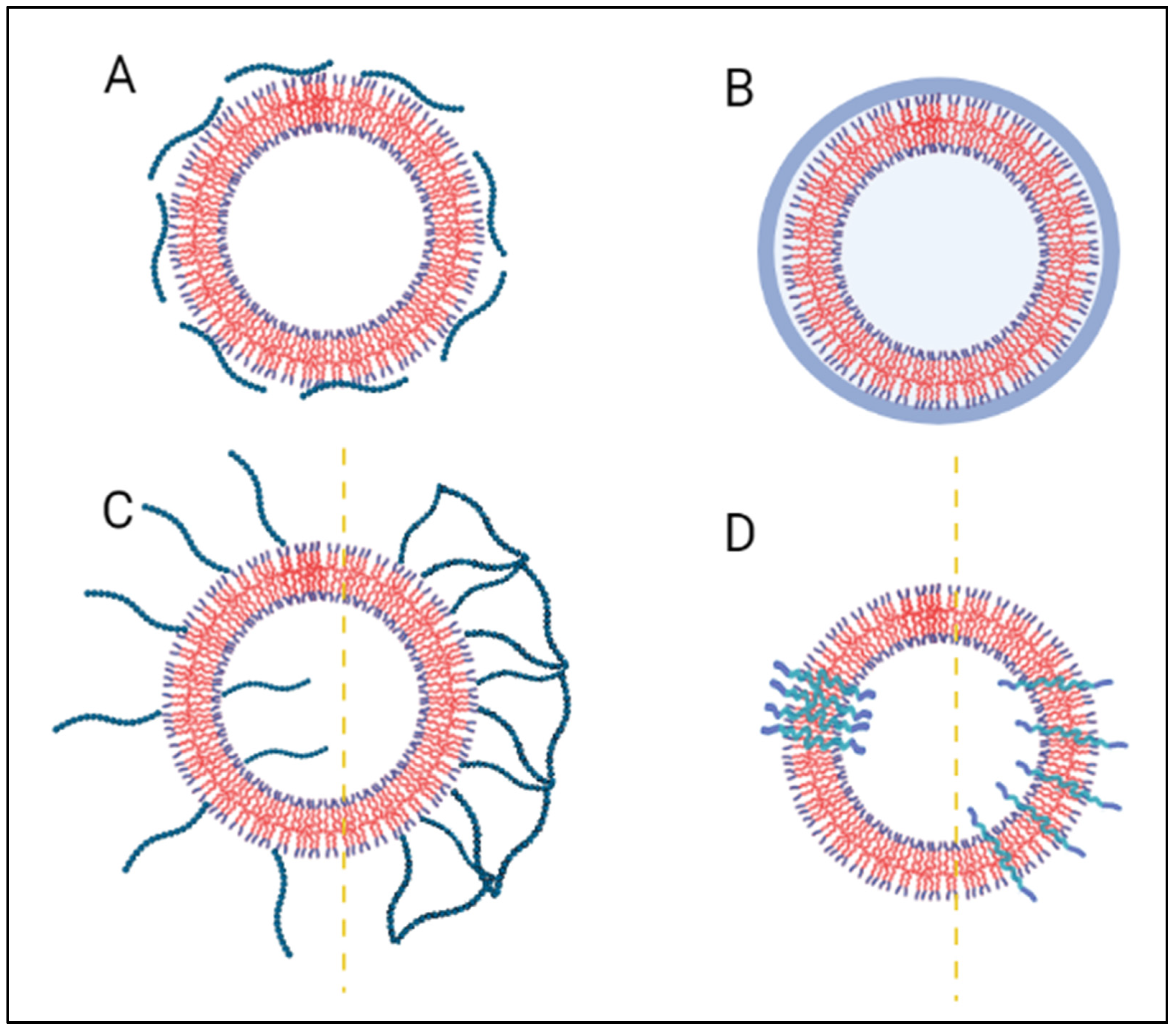 Polymers 14 00925 g007