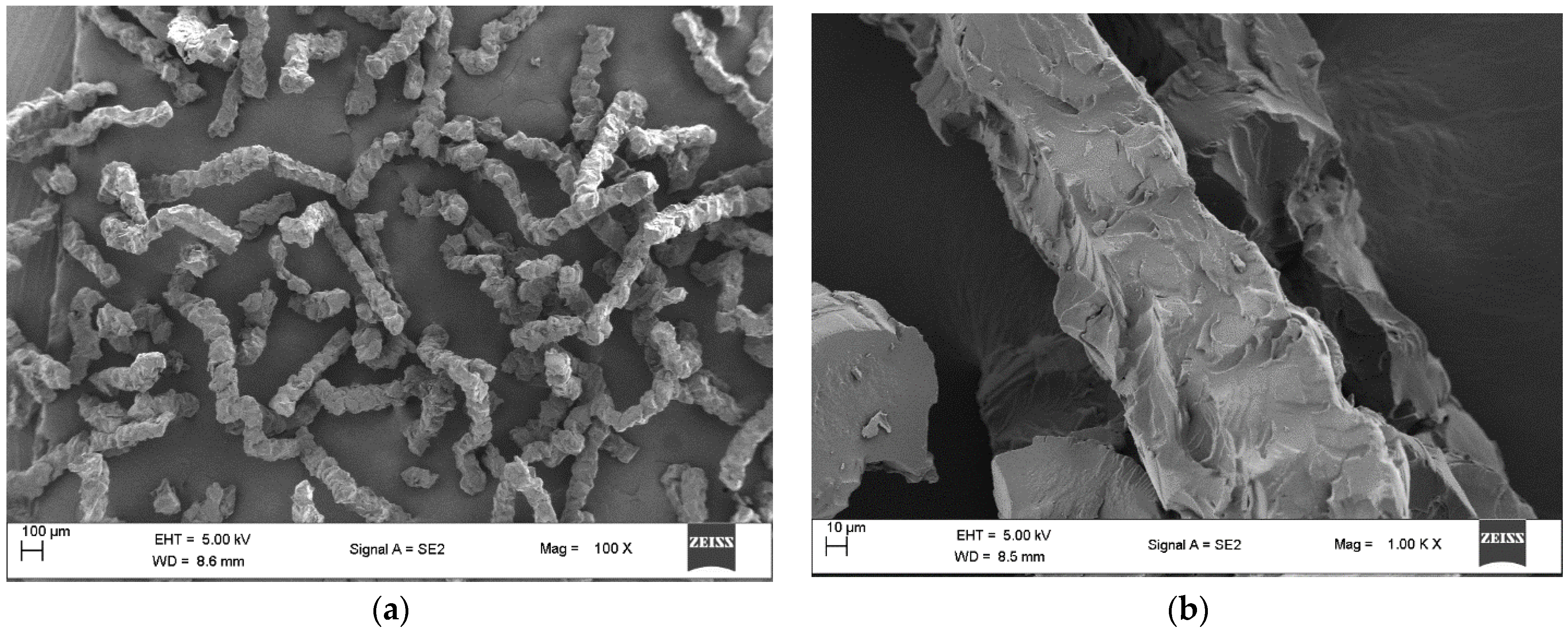 Polymers 14 00928 g002a Polymers 14 00928 g002a