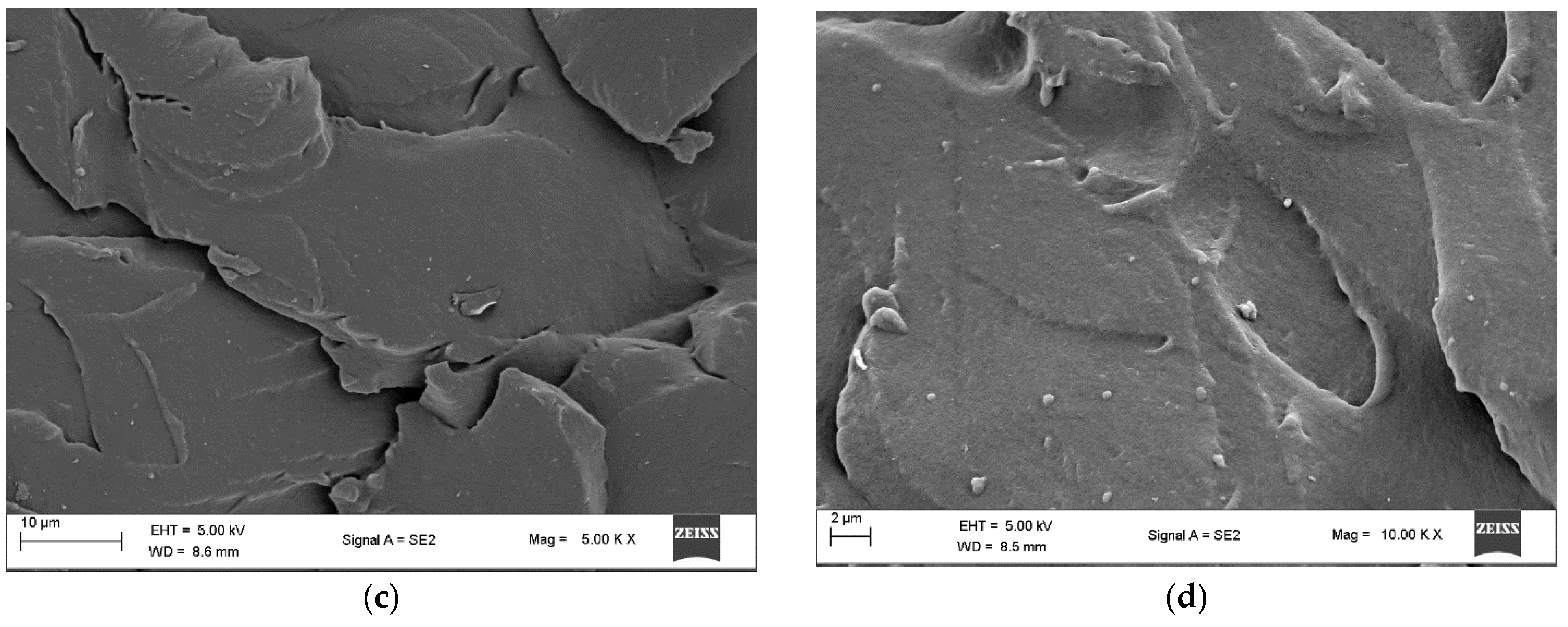 Polymers 14 00928 g002b Polymers 14 00928 g002b
