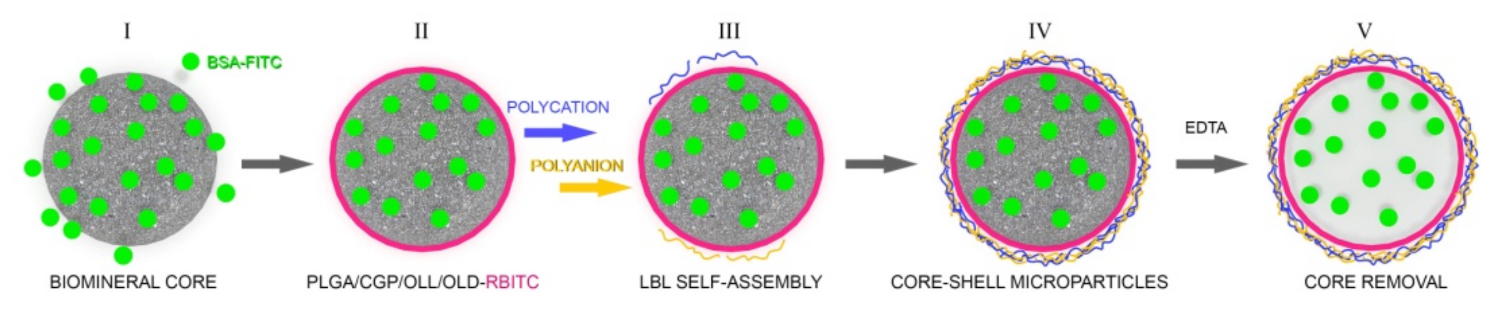 Polymers 14 00931 g001