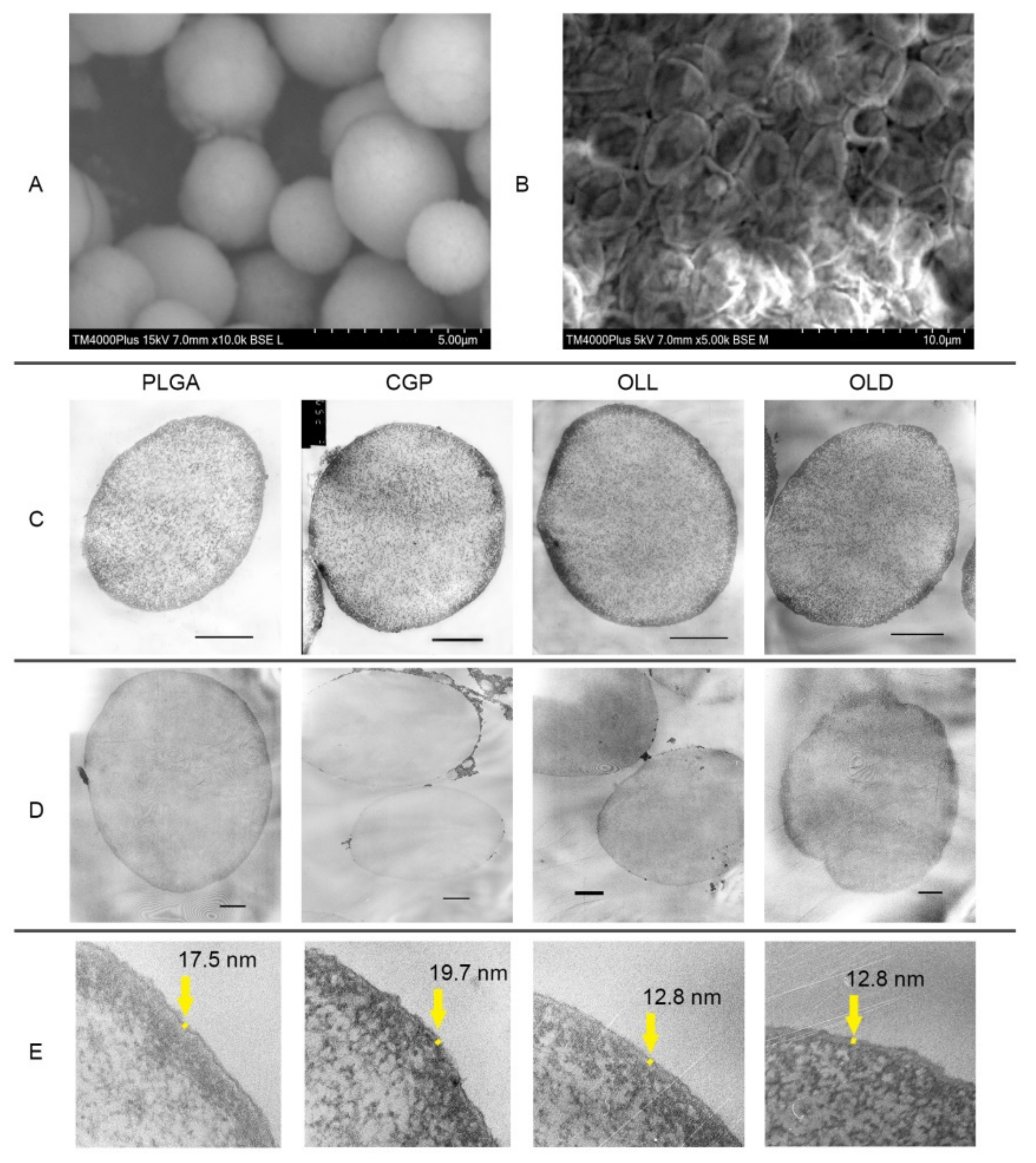 Polymers 14 00931 g003