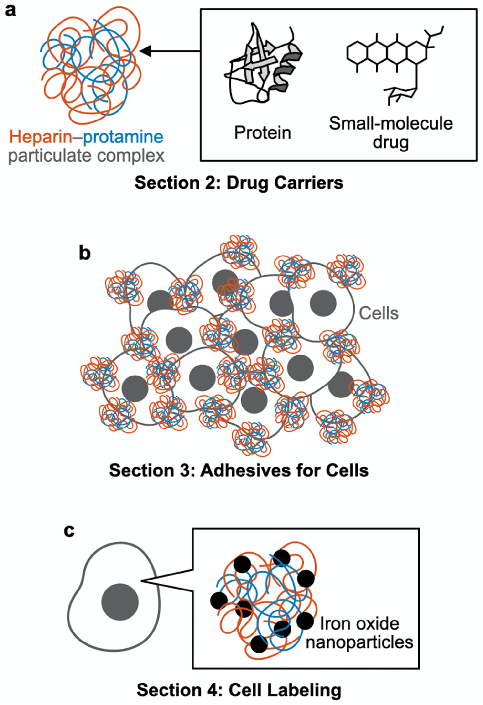 Polymers 14 00932 g002