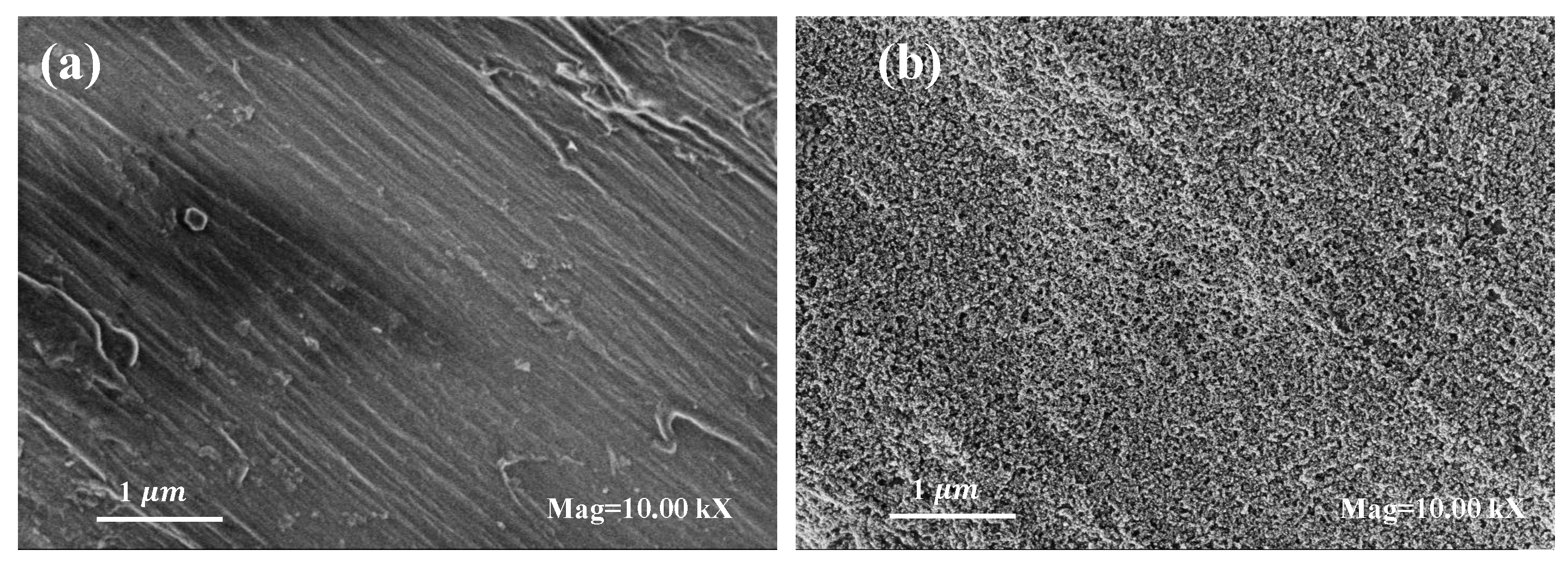 Polymers 14 00937 g003