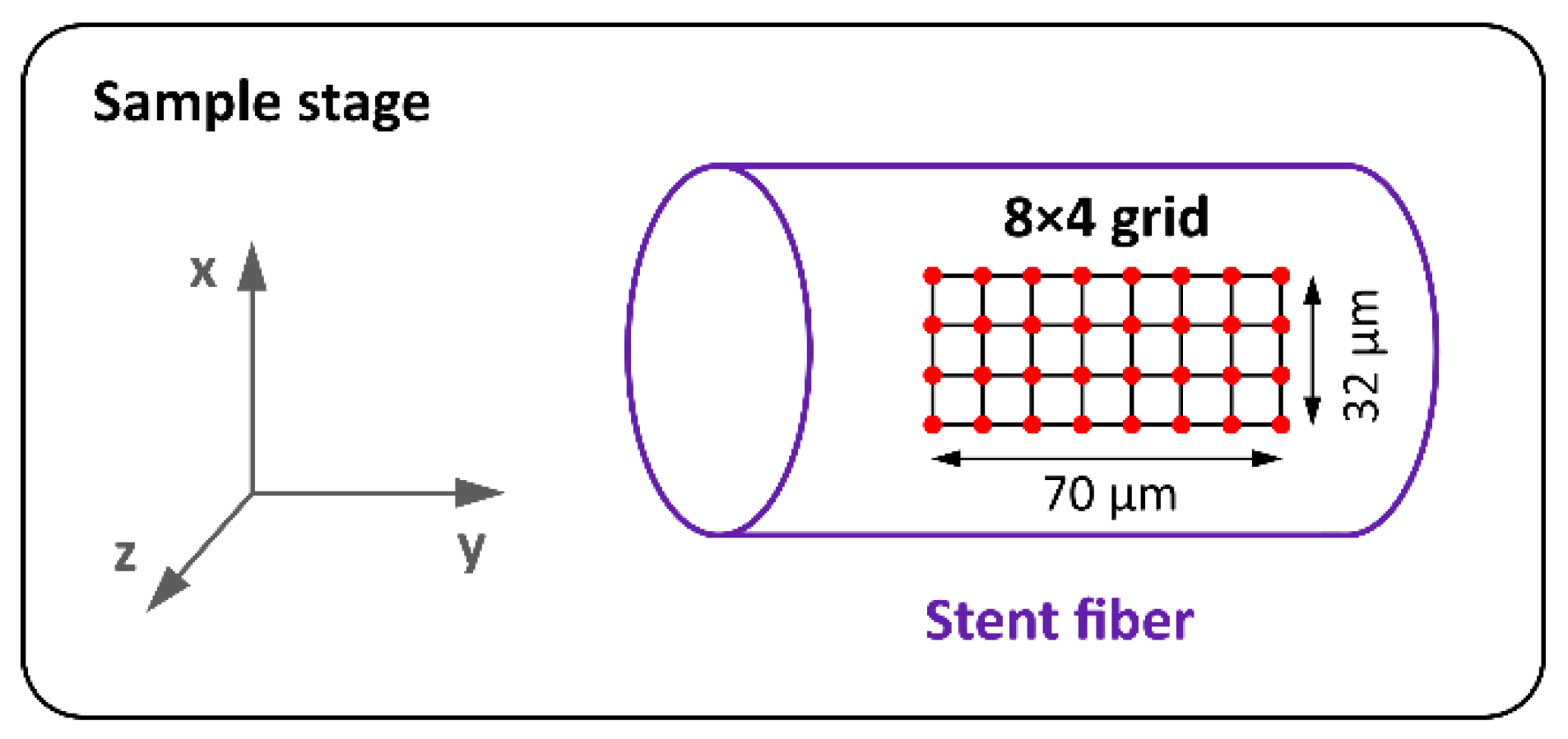 Polymers 14 00938 g002
