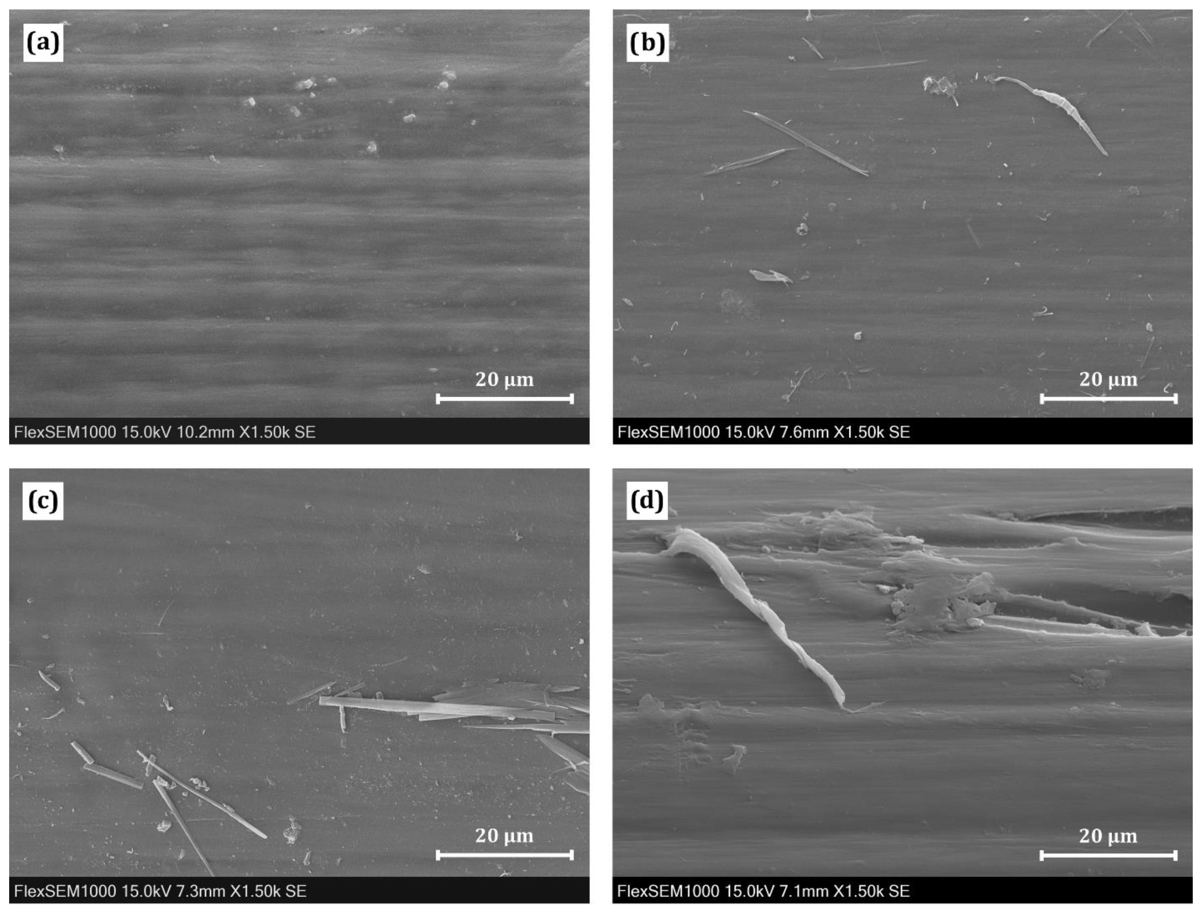 Polymers 14 00938 g006