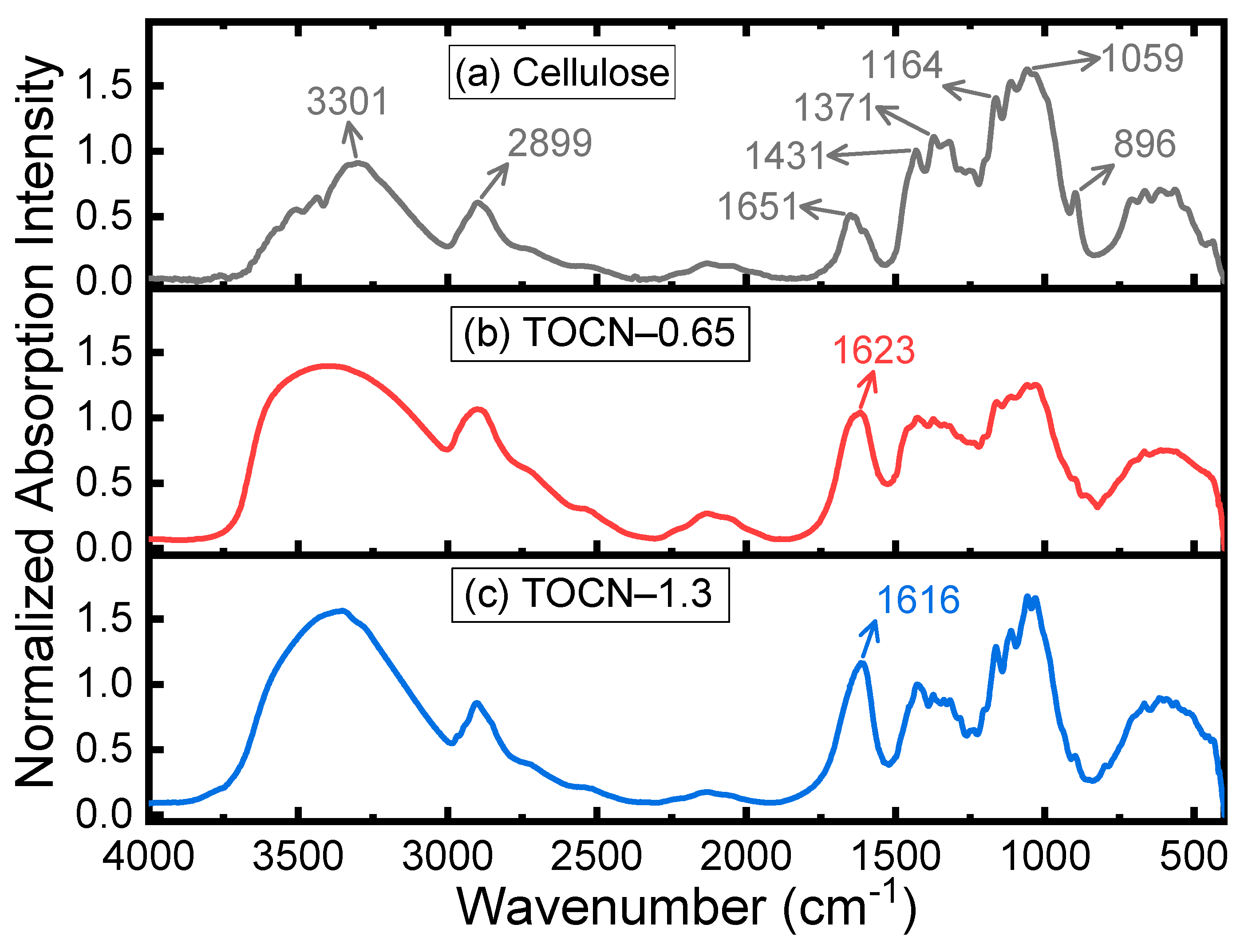 Polymers 14 00946 g001