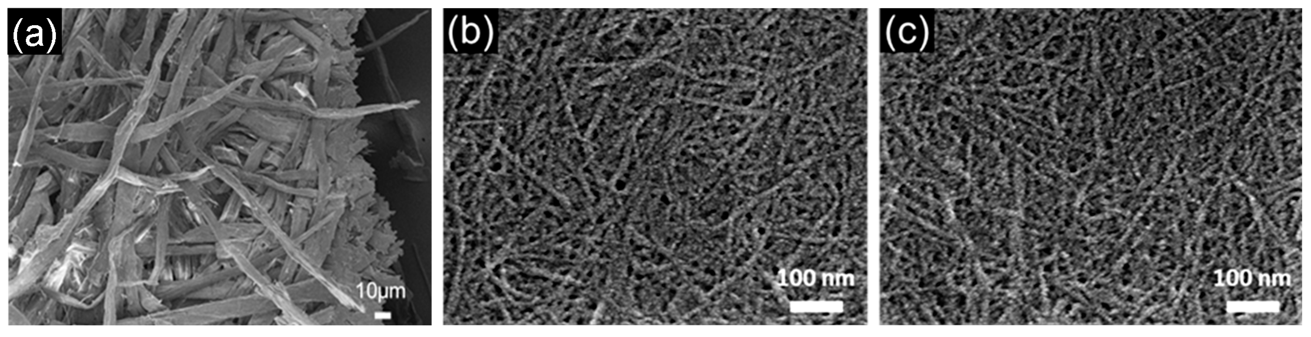 Polymers 14 00946 g003