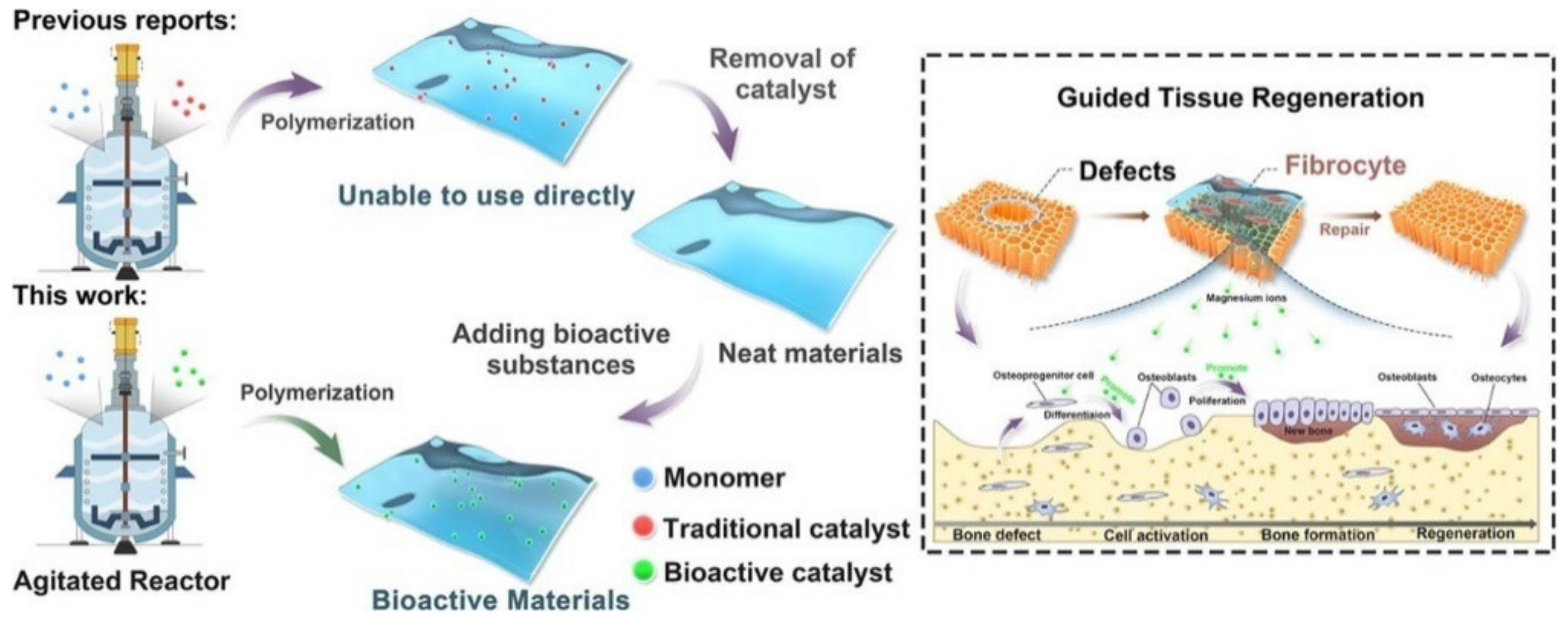 Polymers 14 00951 g002