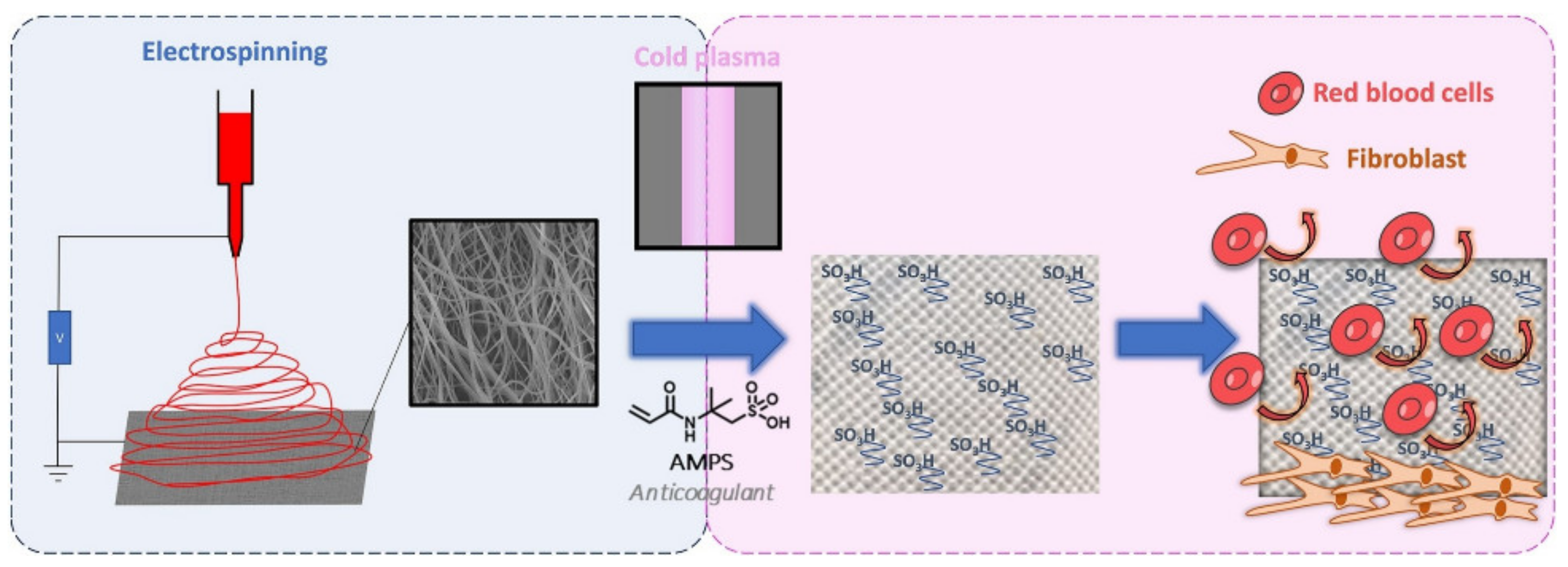 Polymers 14 00951 g006