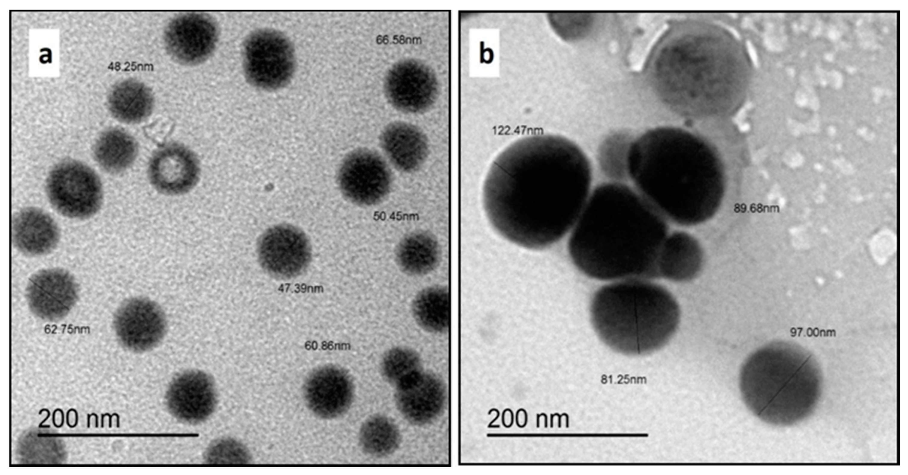 Polymers 14 00955 g001