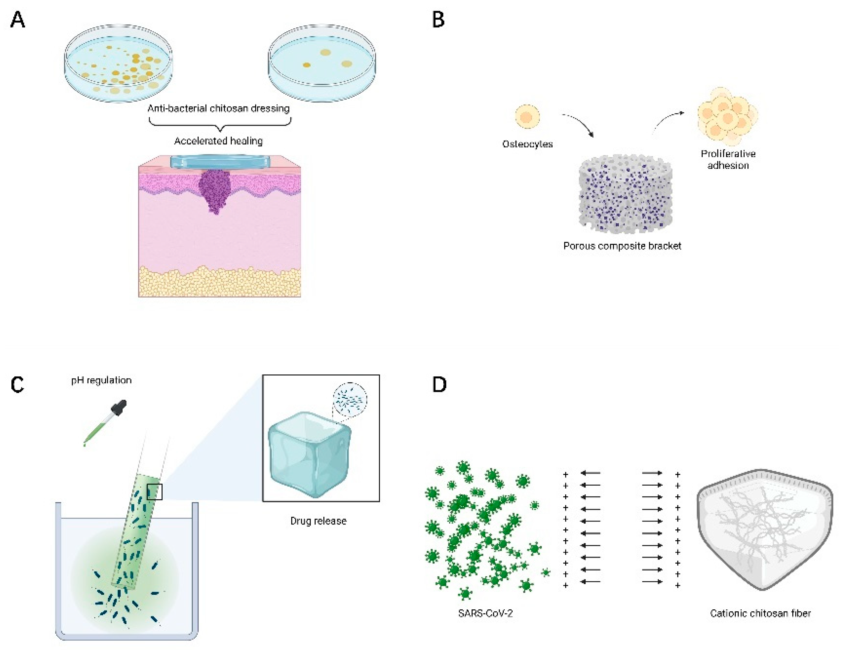 Polymers 14 00958 g006