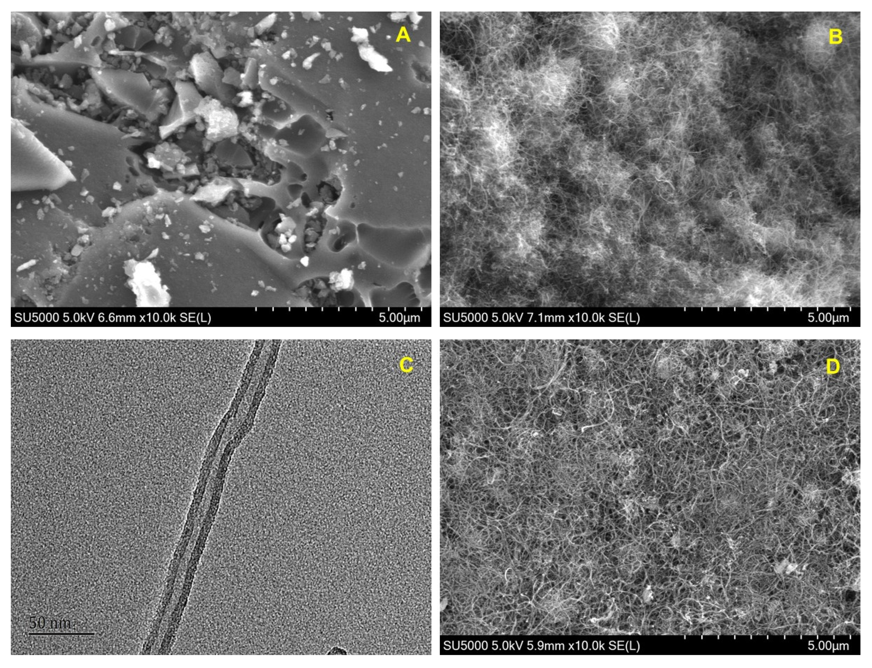 Polymers 14 00959 g001a