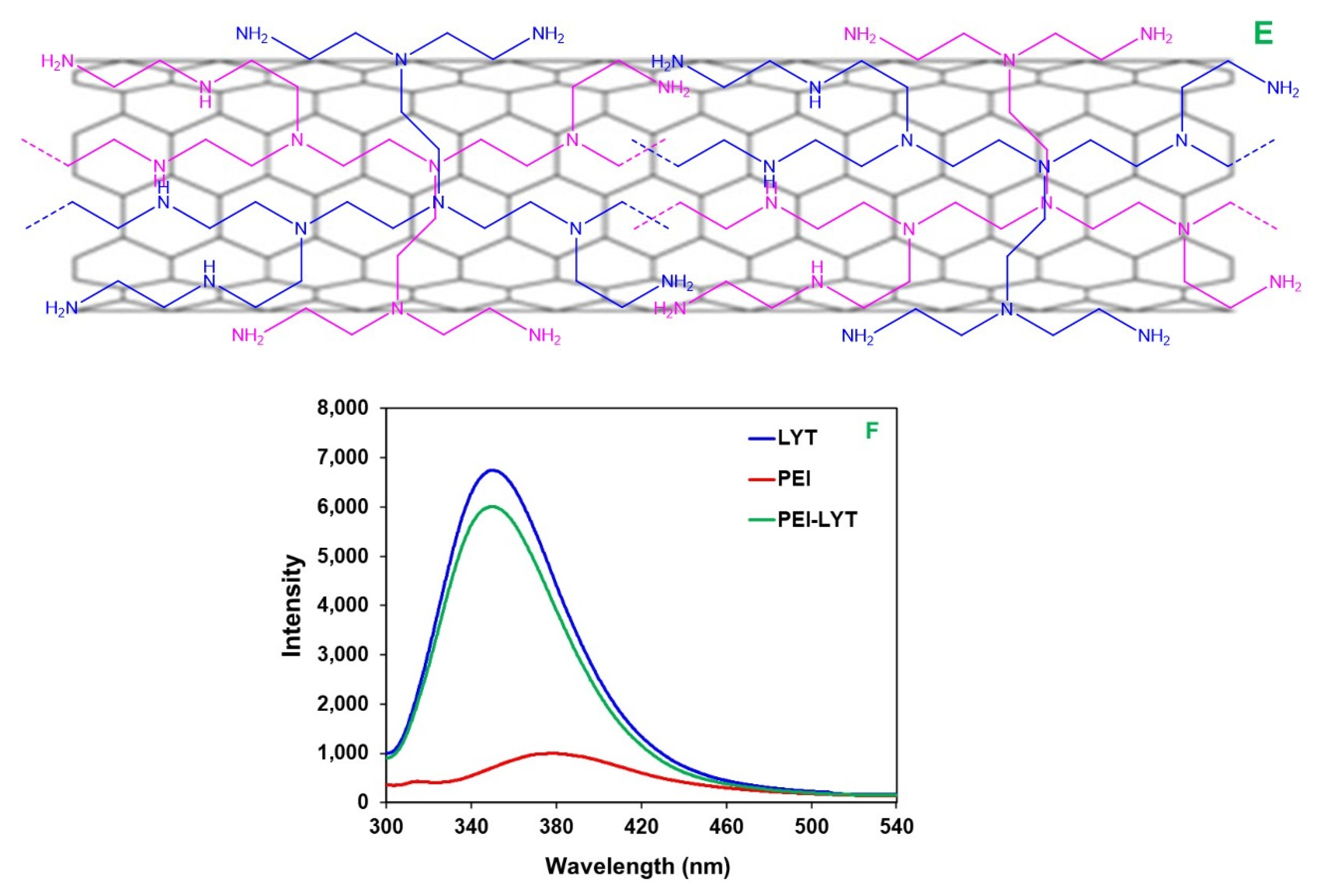 Polymers 14 00959 g001b