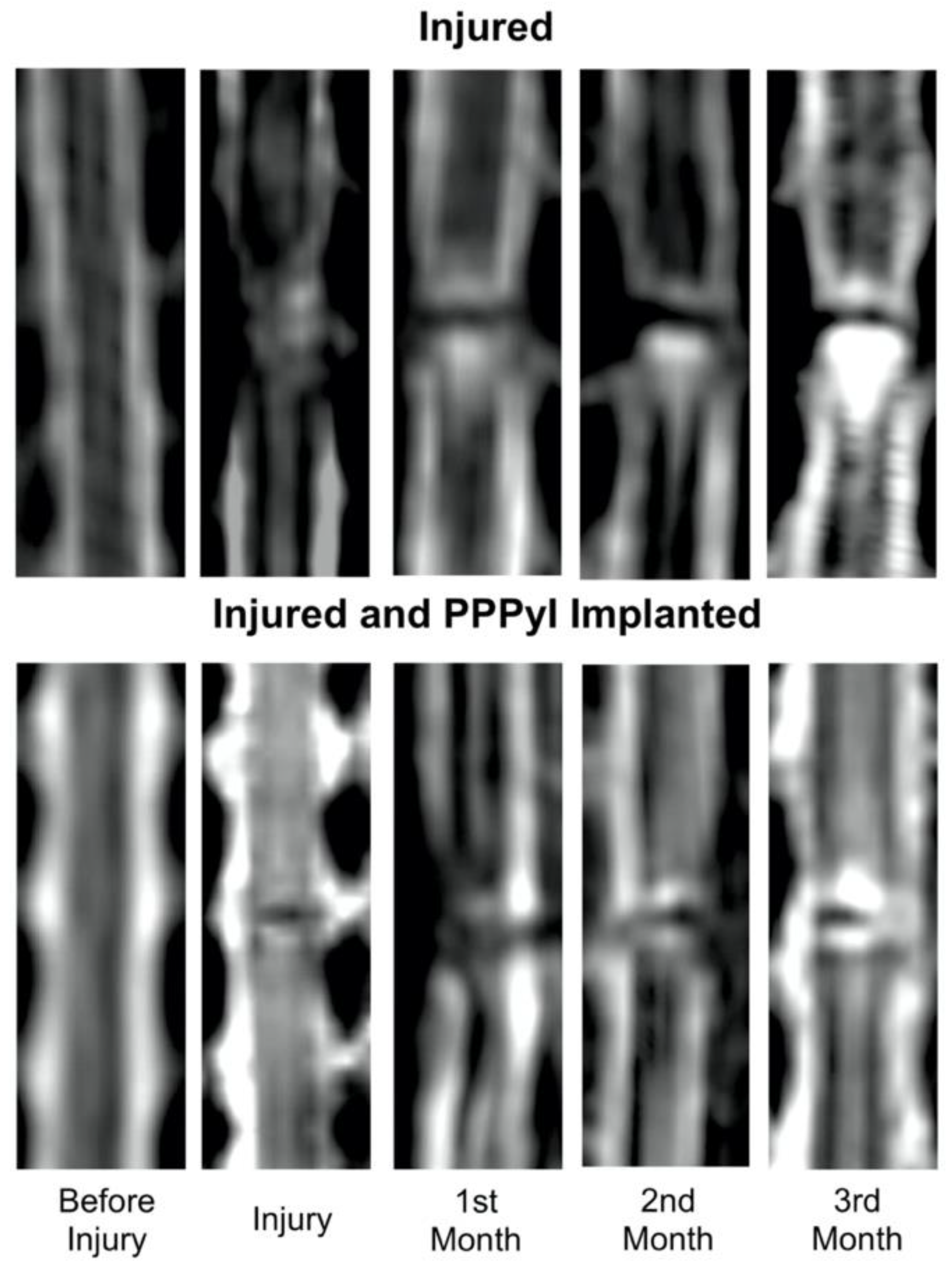 Polymers 14 00962 g003