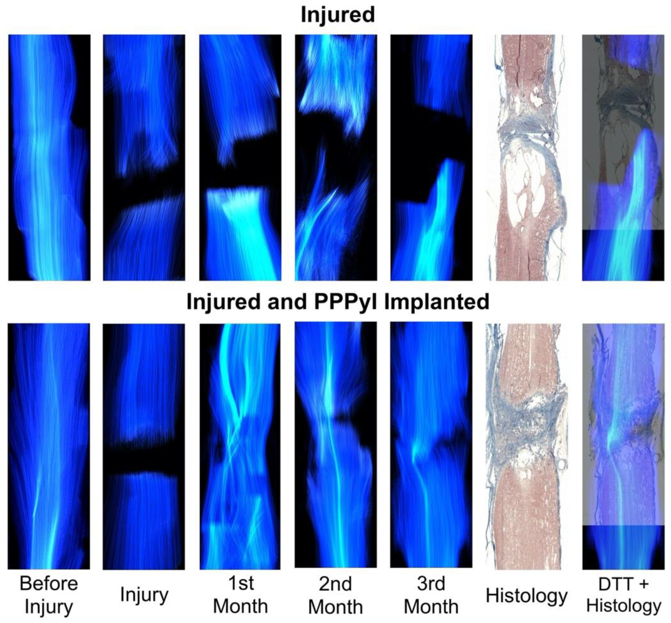 Polymers 14 00962 g005