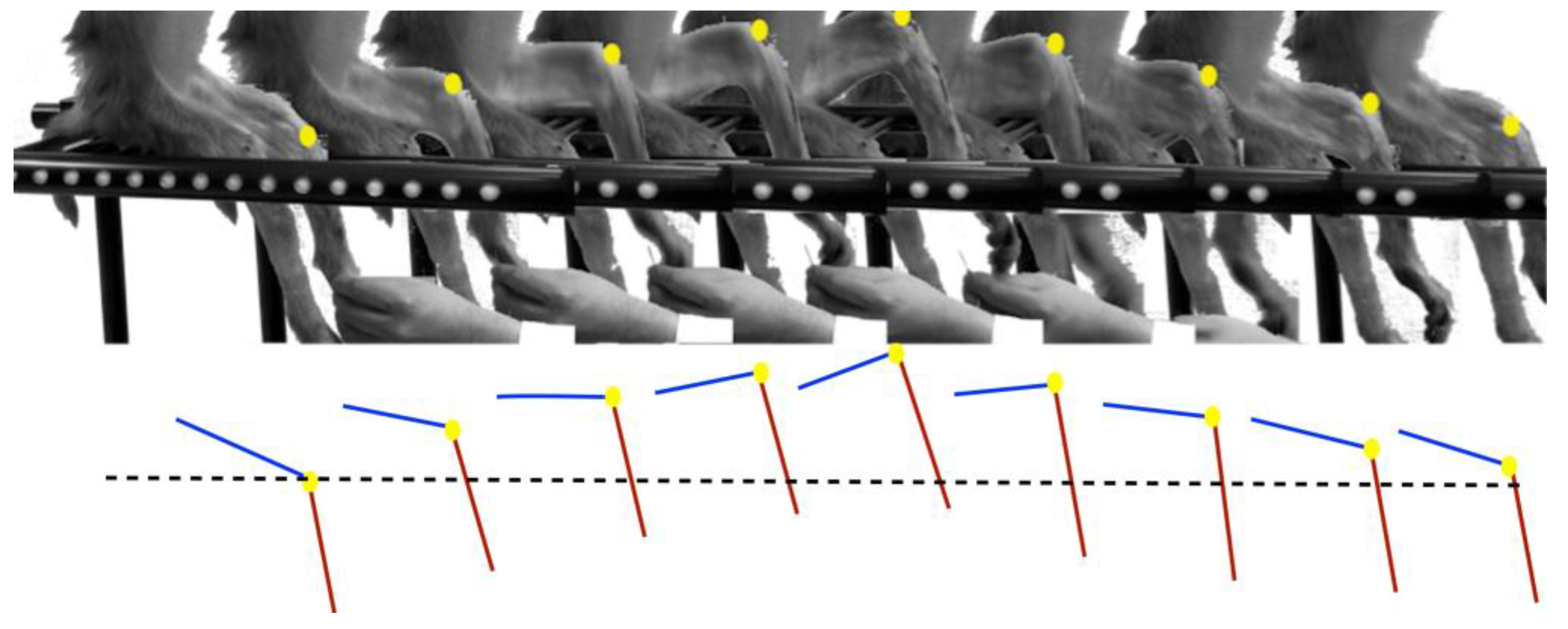 Polymers 14 00962 g006