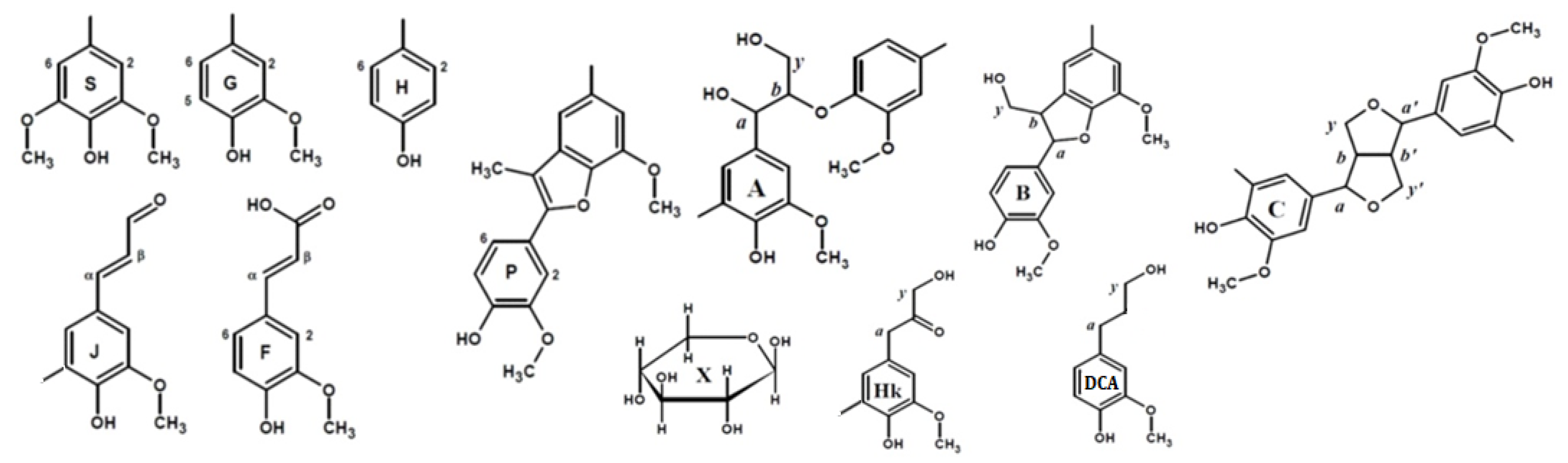 Polymers 14 00964 g002