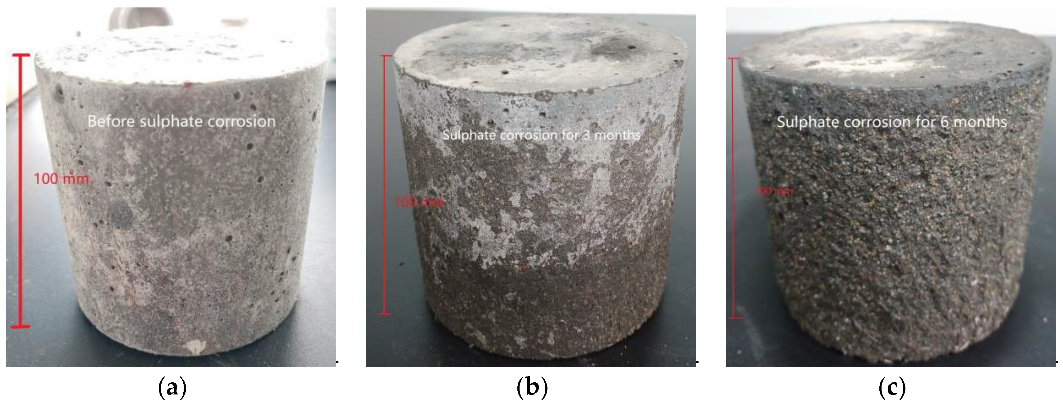 Polymers 14 00971 g003a