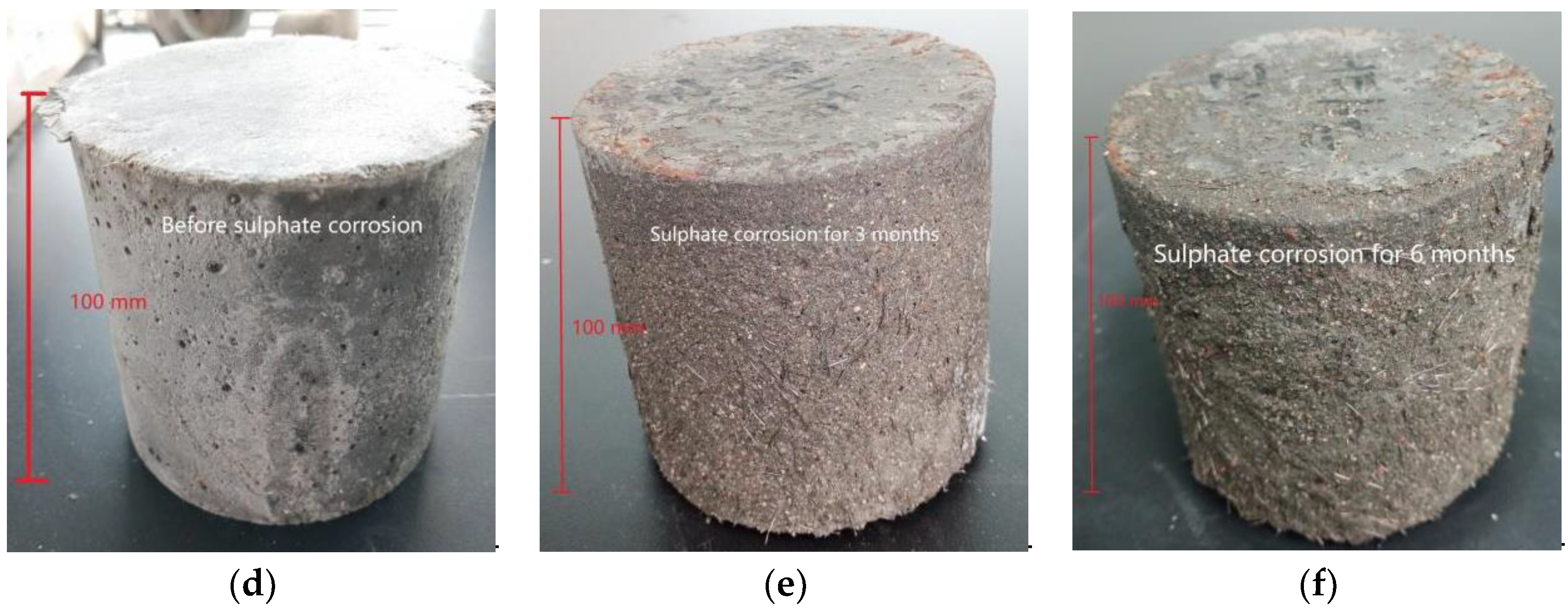 Polymers 14 00971 g003b