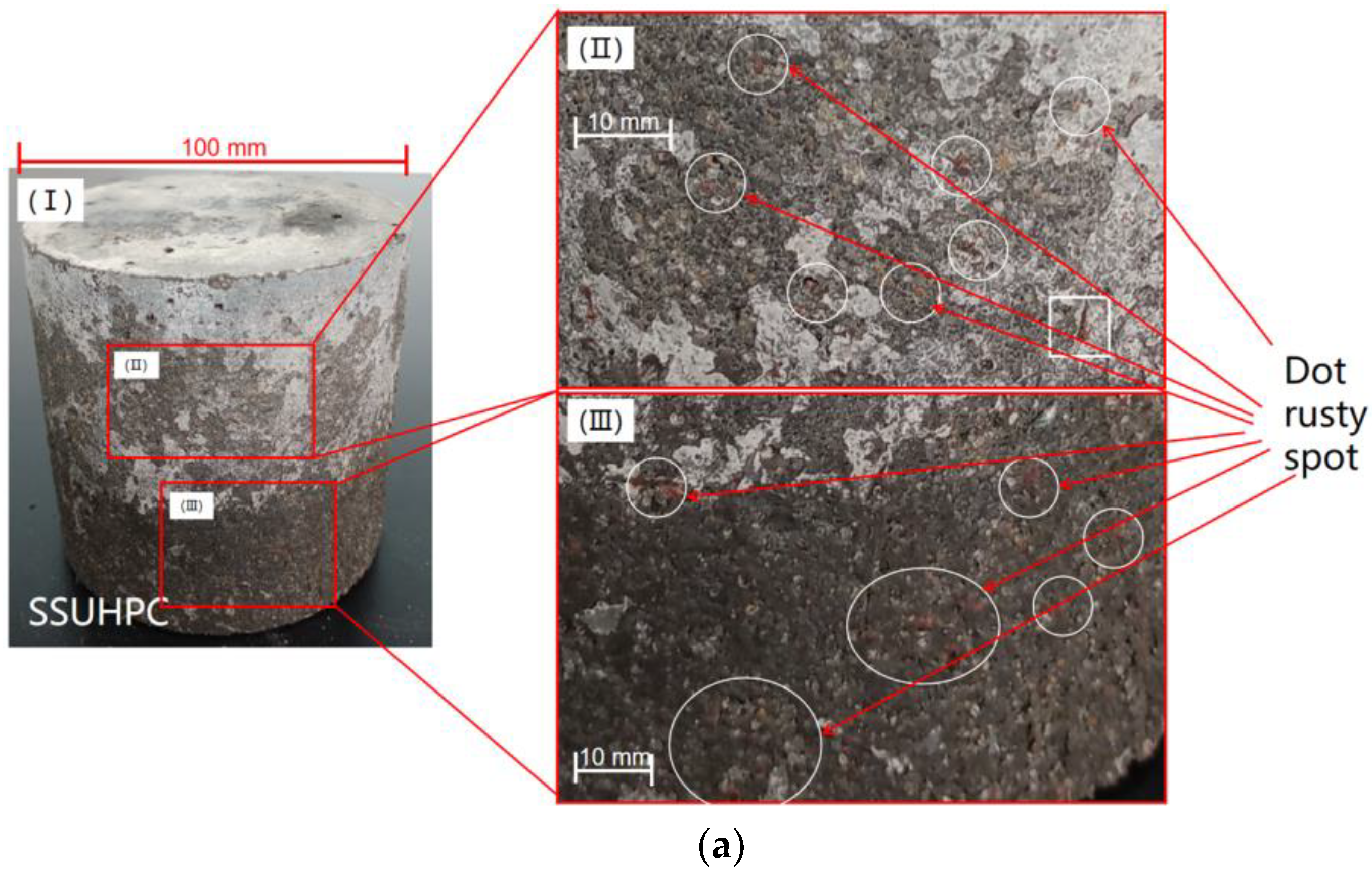 Polymers 14 00971 g004a