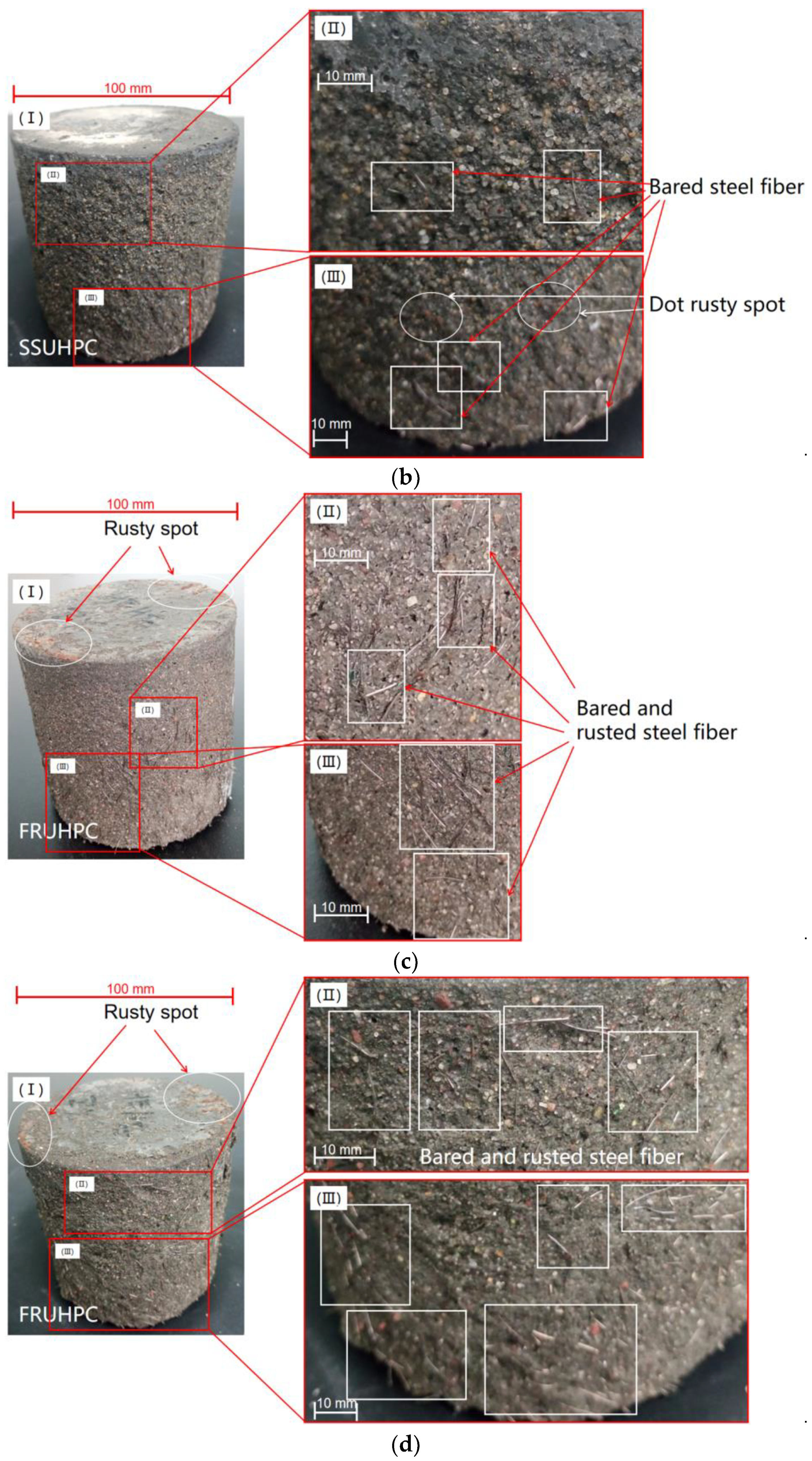Polymers 14 00971 g004b