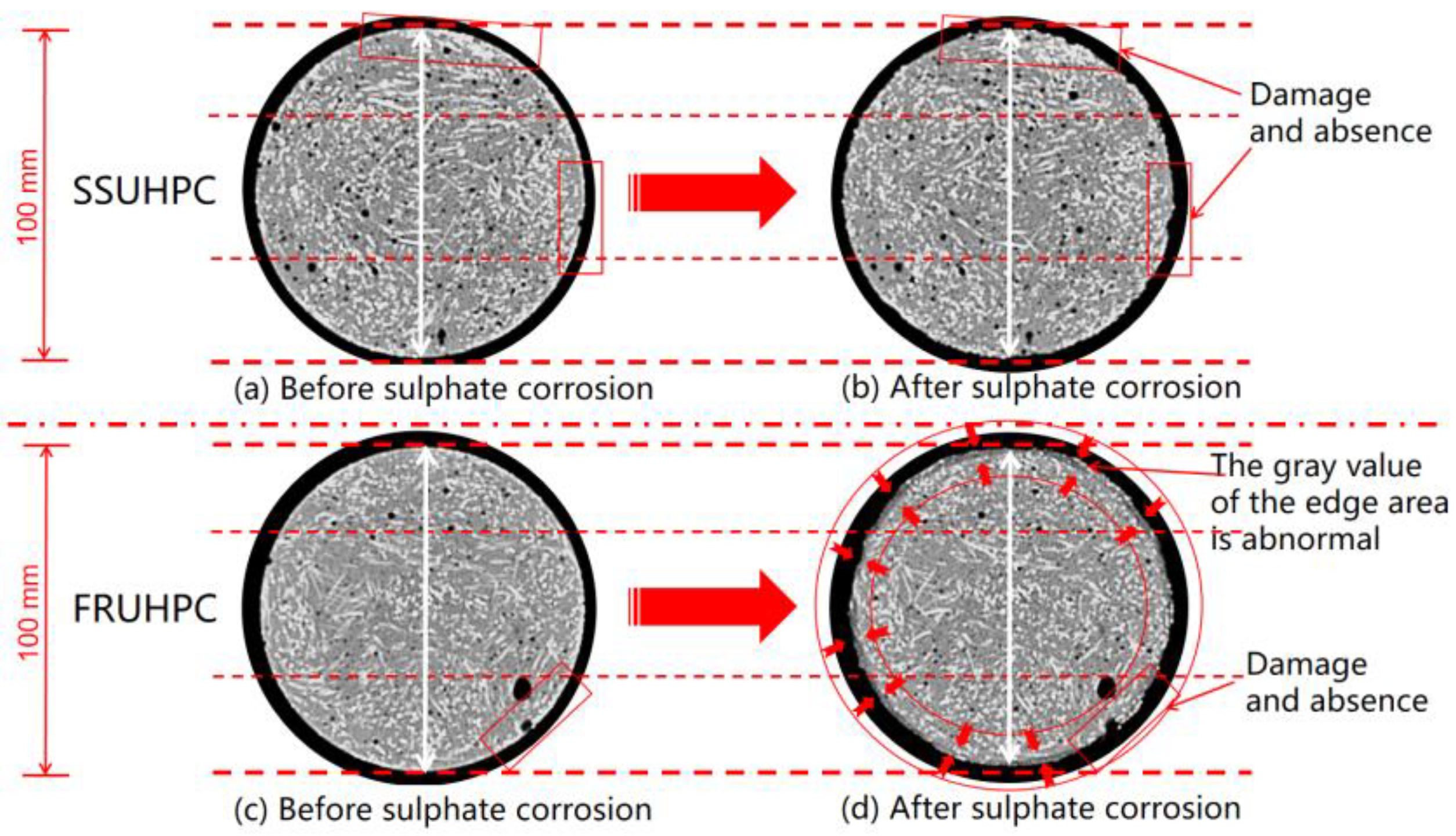 Polymers 14 00971 g006