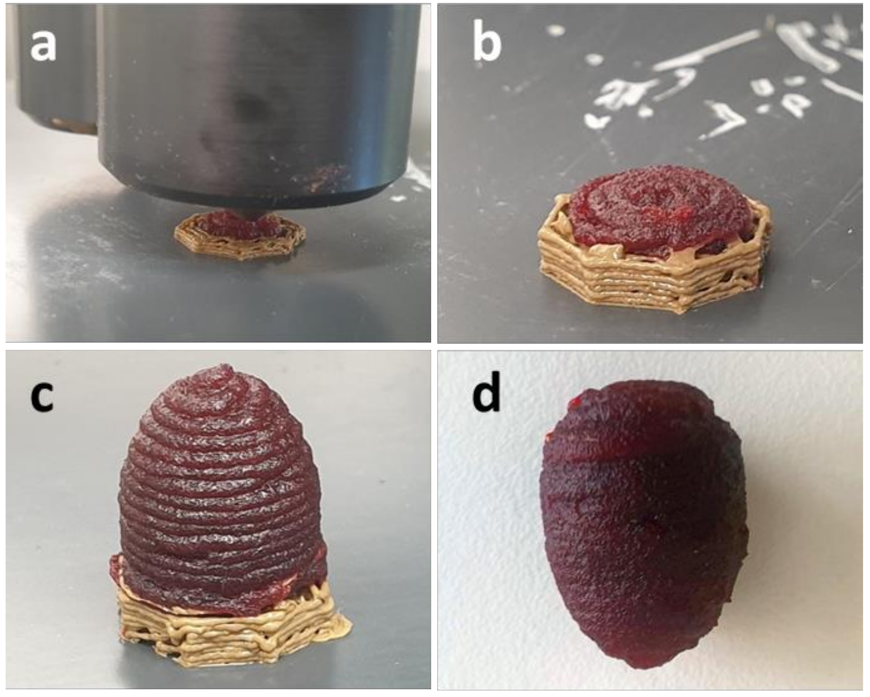 Polymers 14 00974 g006