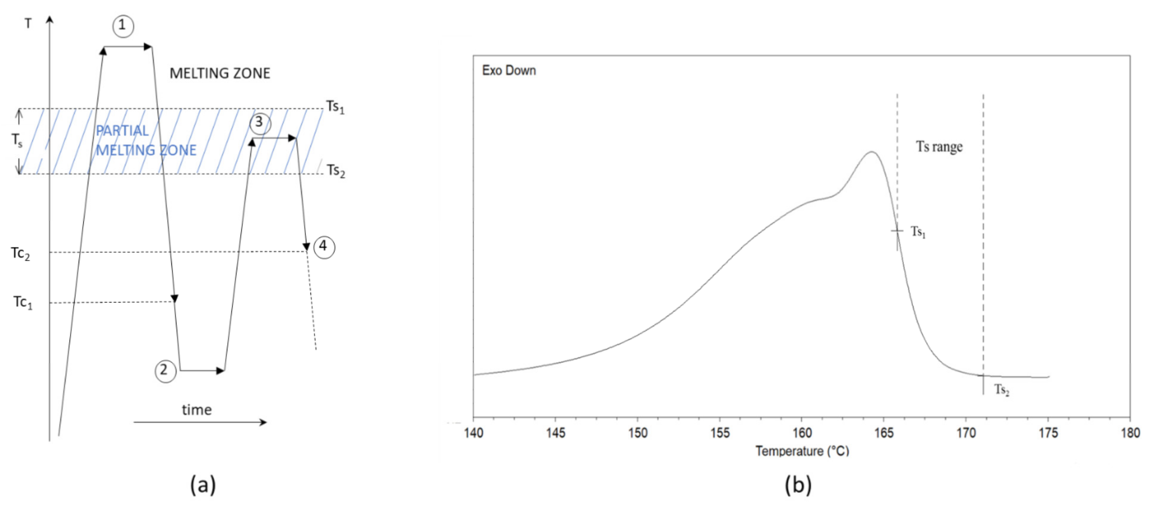 Polymers 14 00977 g001 Polymers 14 00977 g001