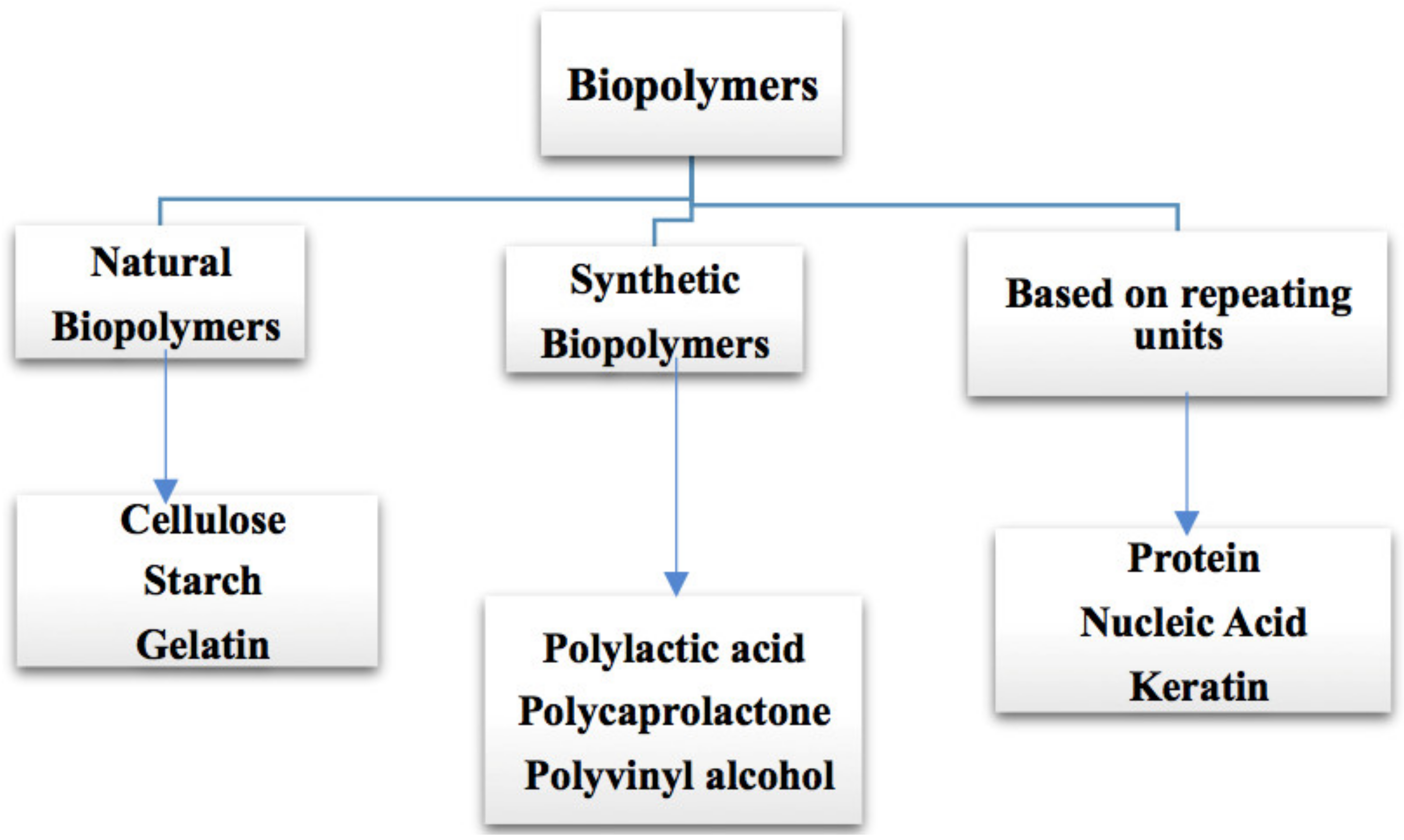 Polymers 14 00983 g001