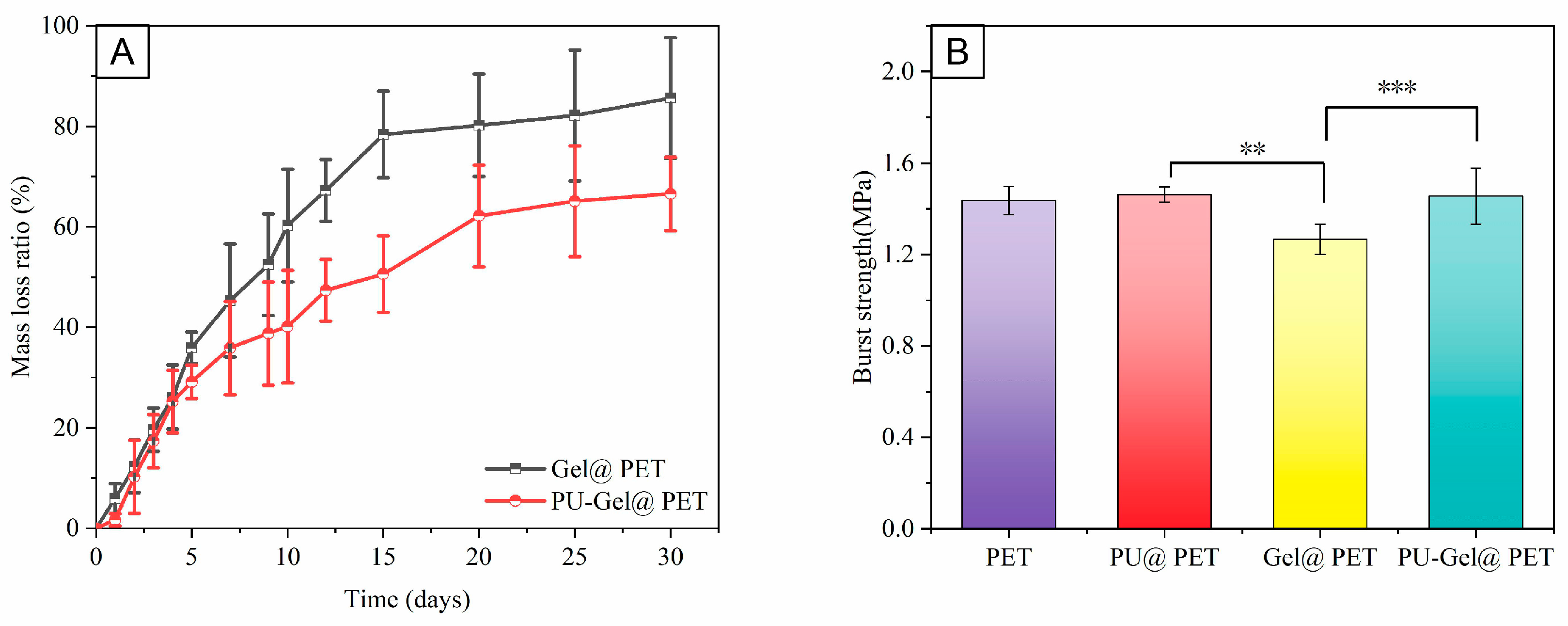 Polymers 14 00989 g002