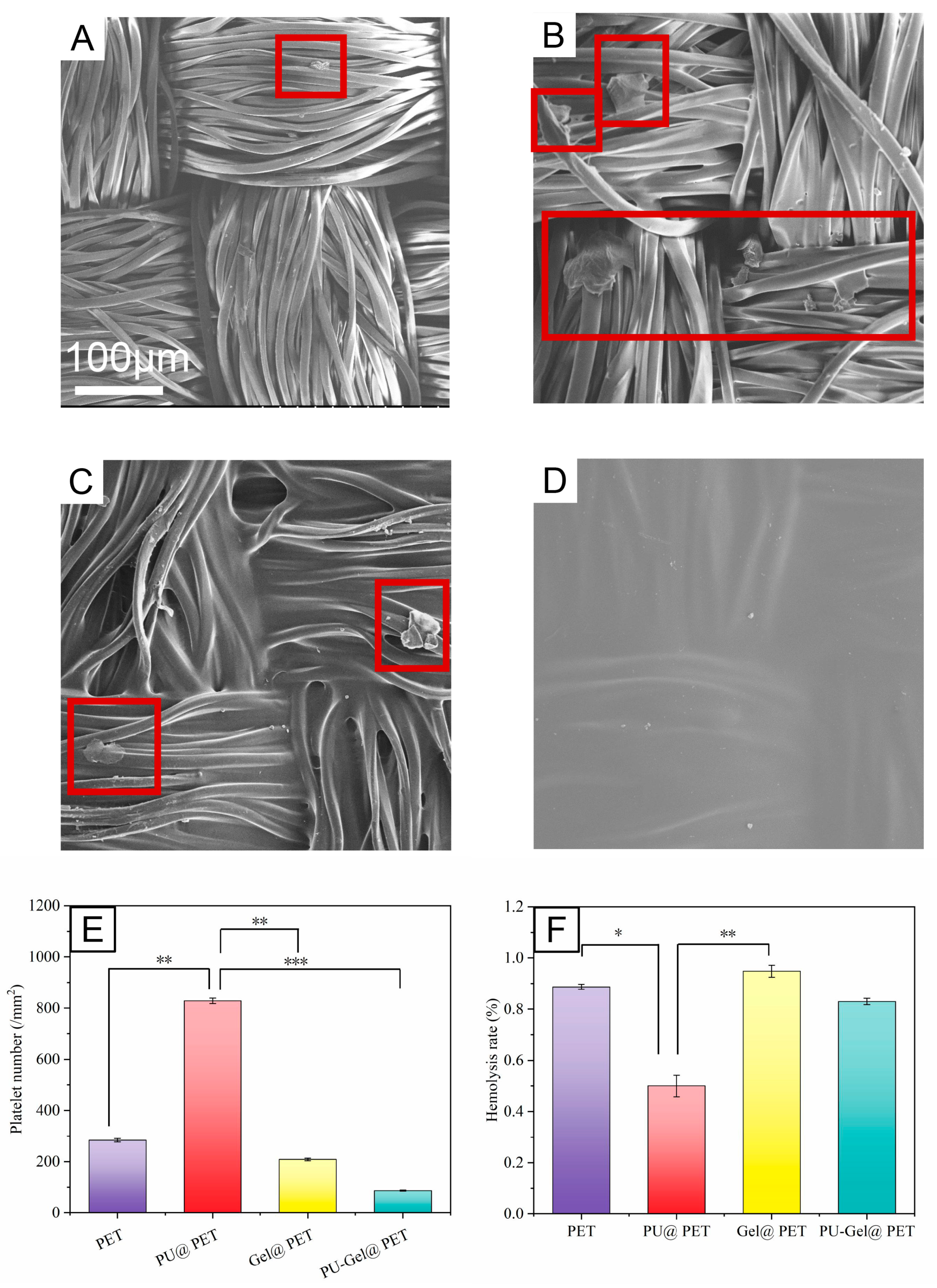 Polymers 14 00989 g004