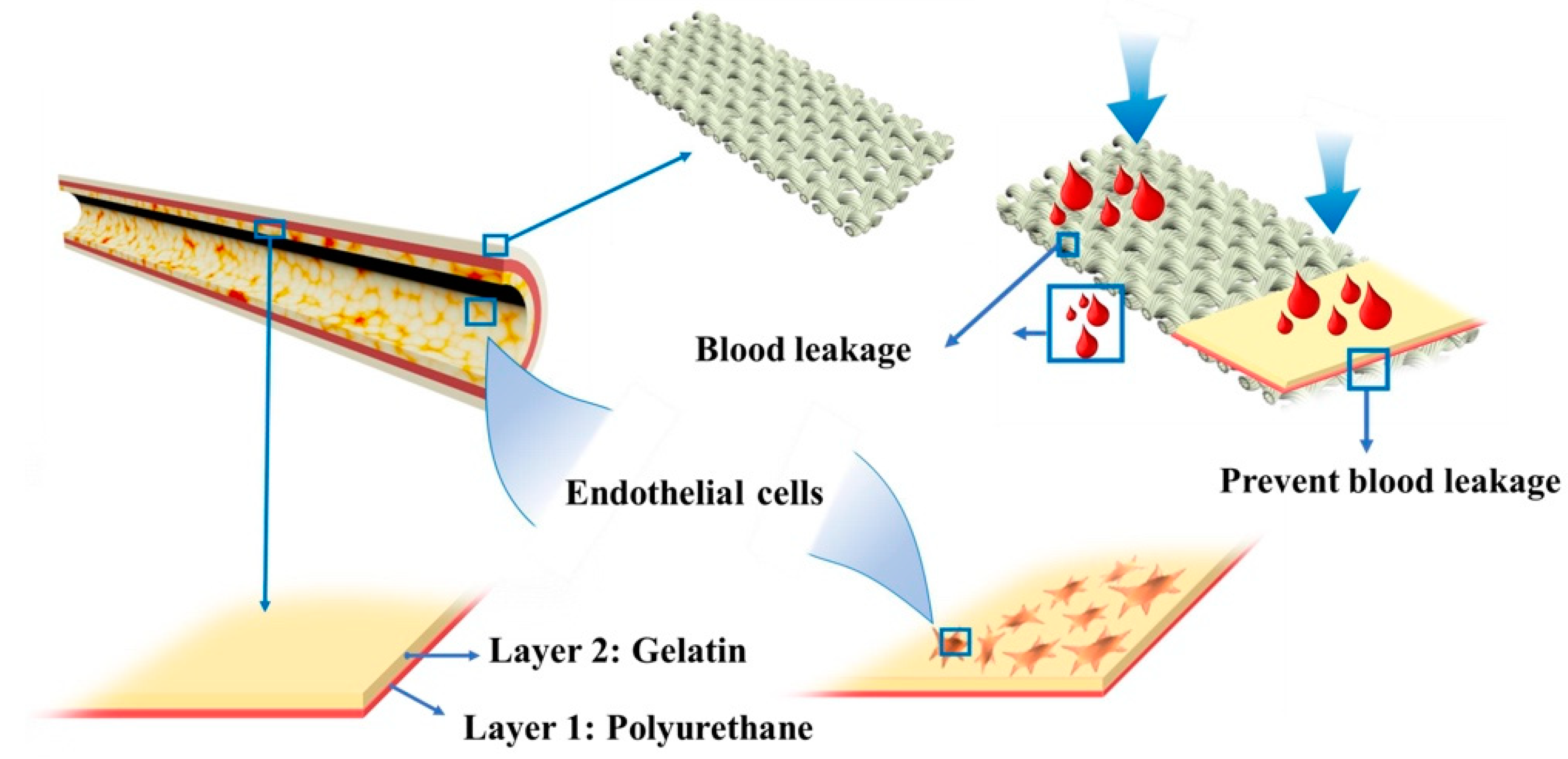 Polymers 14 00989 sch001