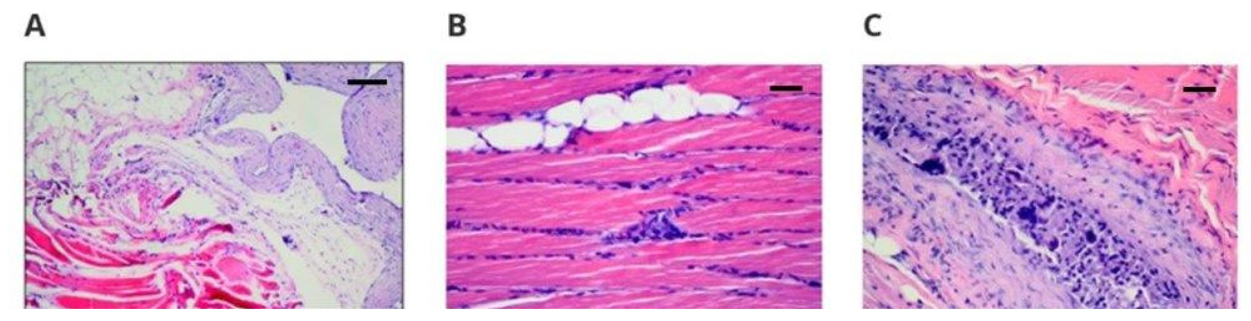 Polymers 14 01002 g002