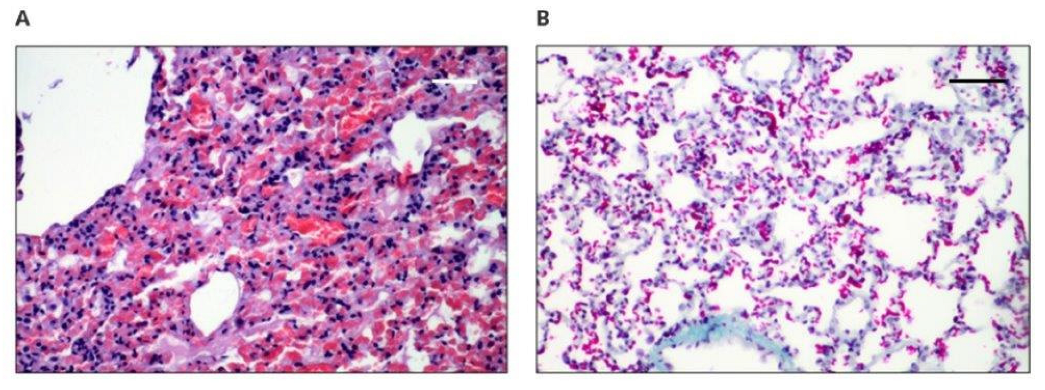 Polymers 14 01002 g006