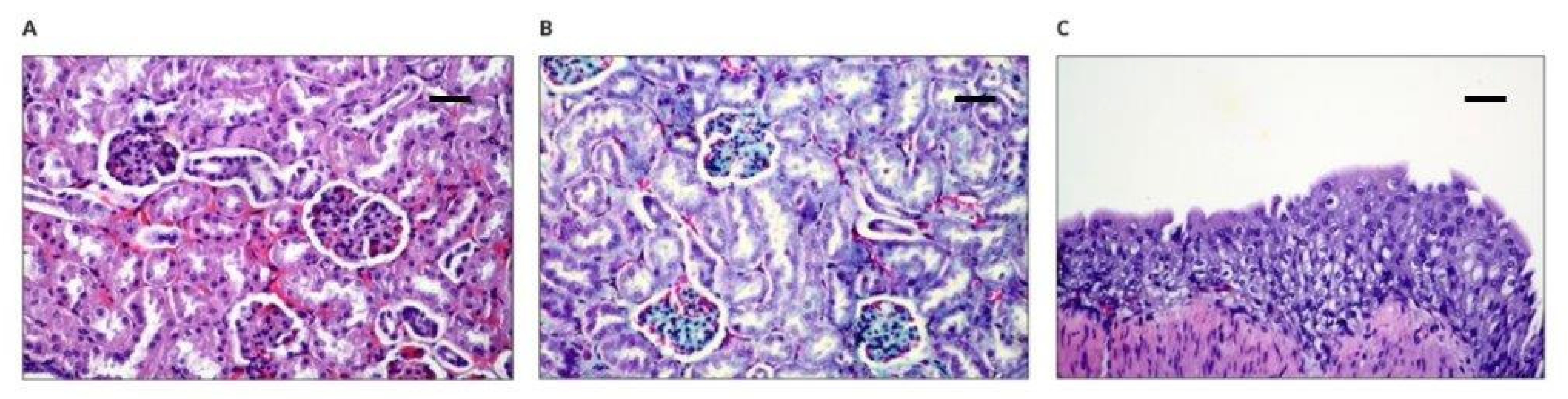 Polymers 14 01002 g007