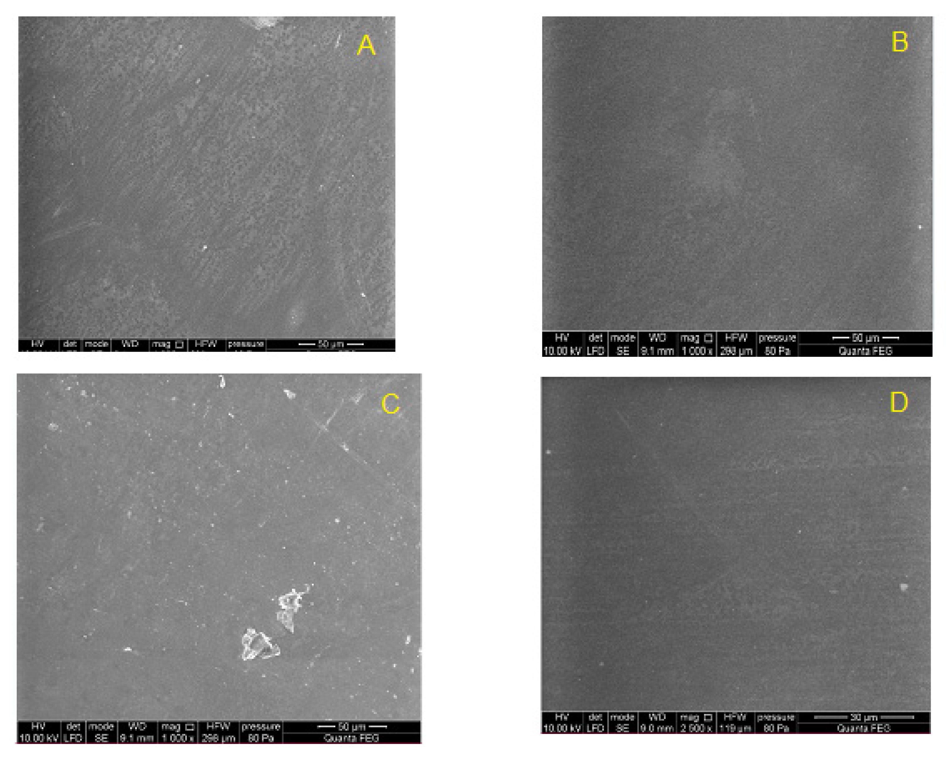 Polymers 14 01002 g012