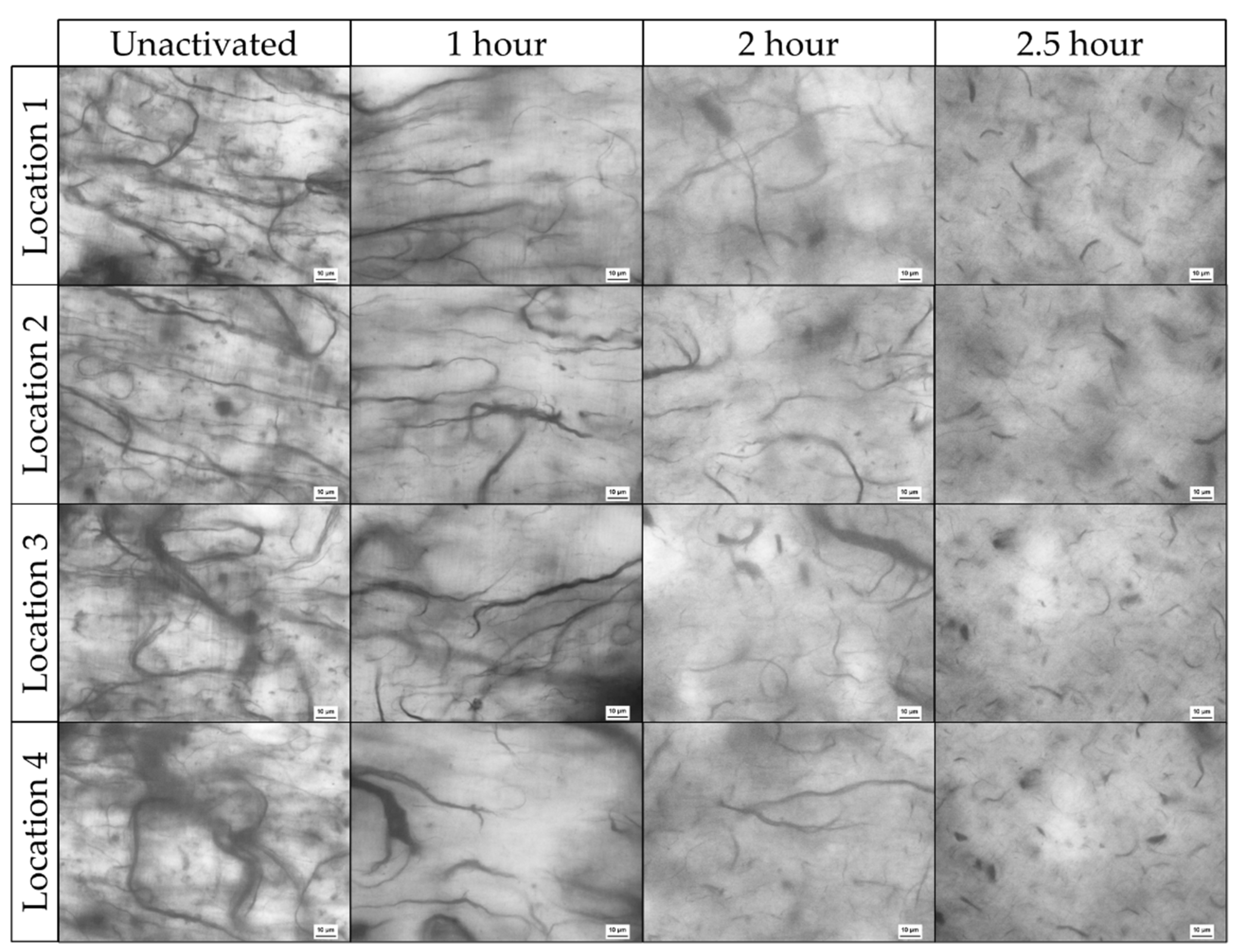 Polymers 14 01003 g005