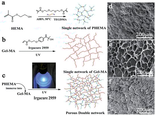 Polymers 14 01012 g003